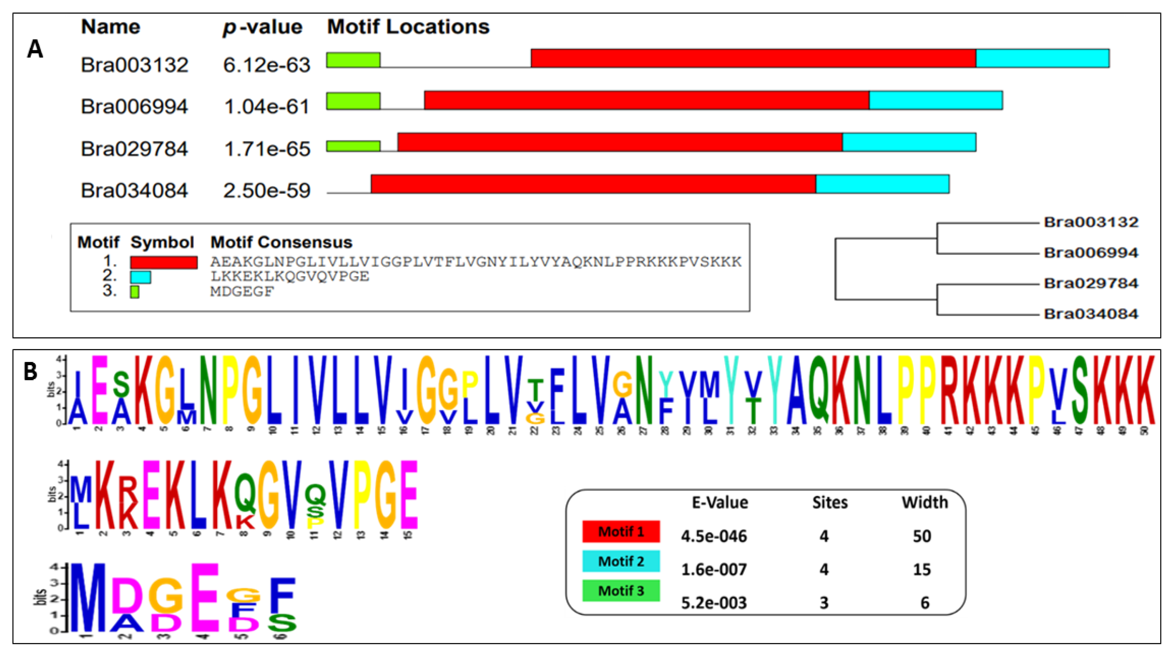 Antioxidants 11 01782 g004a