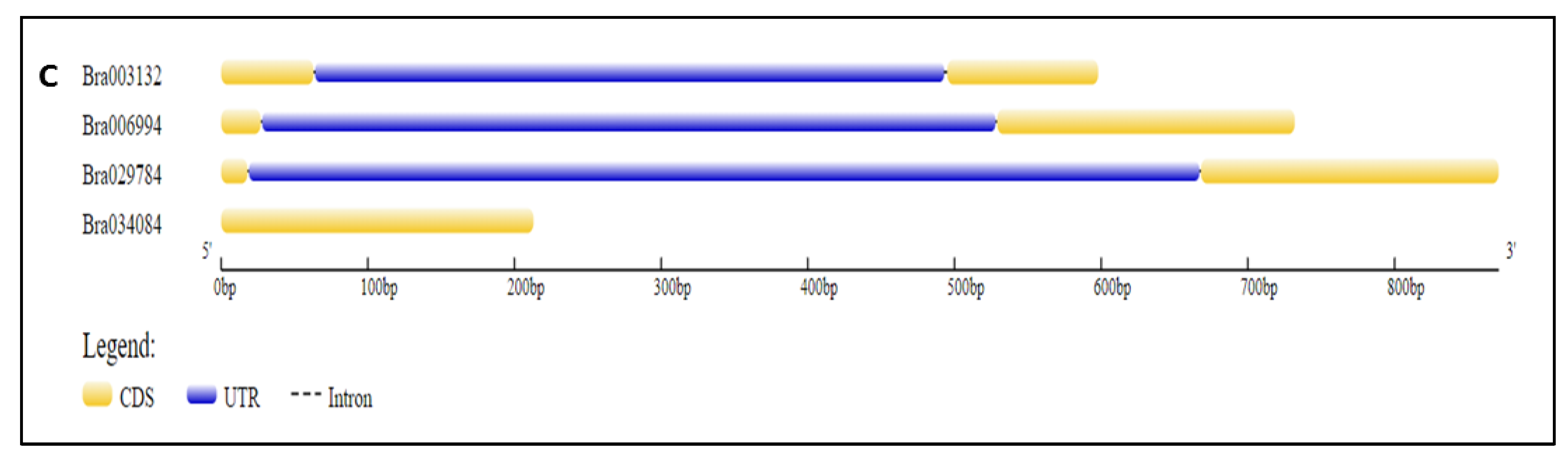Antioxidants 11 01782 g004b