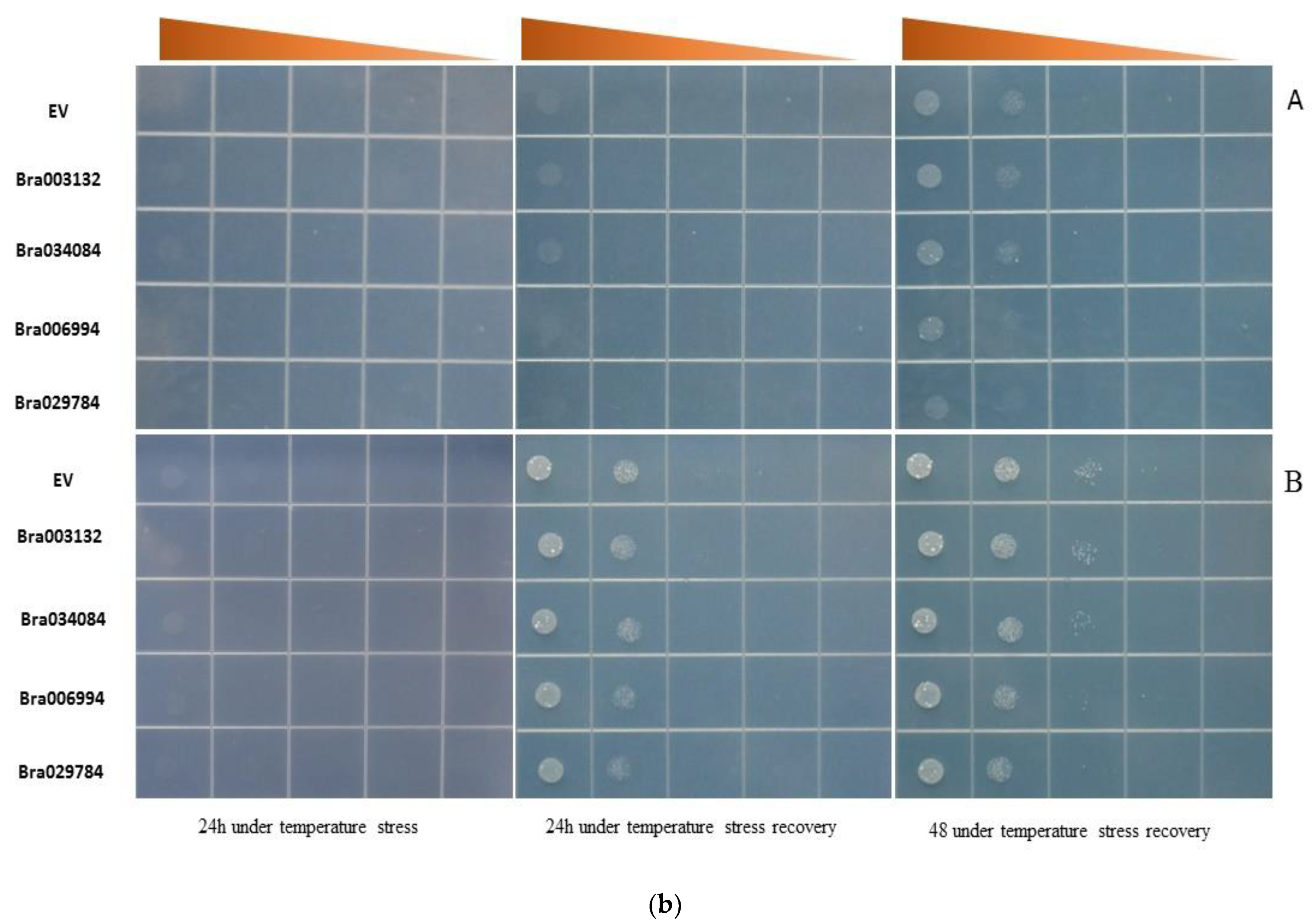 Antioxidants 11 01782 g007b