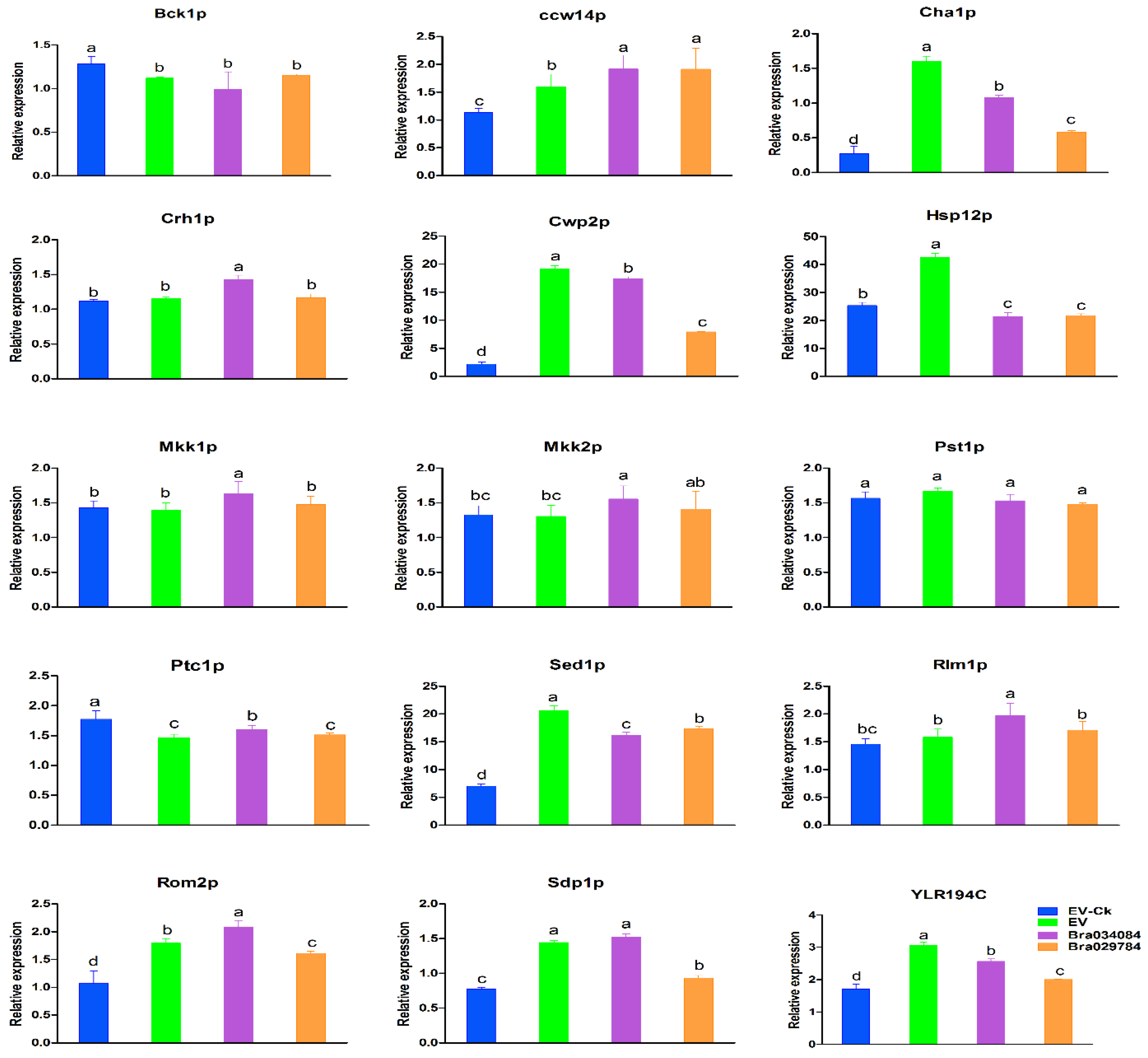 Antioxidants 11 01782 g010