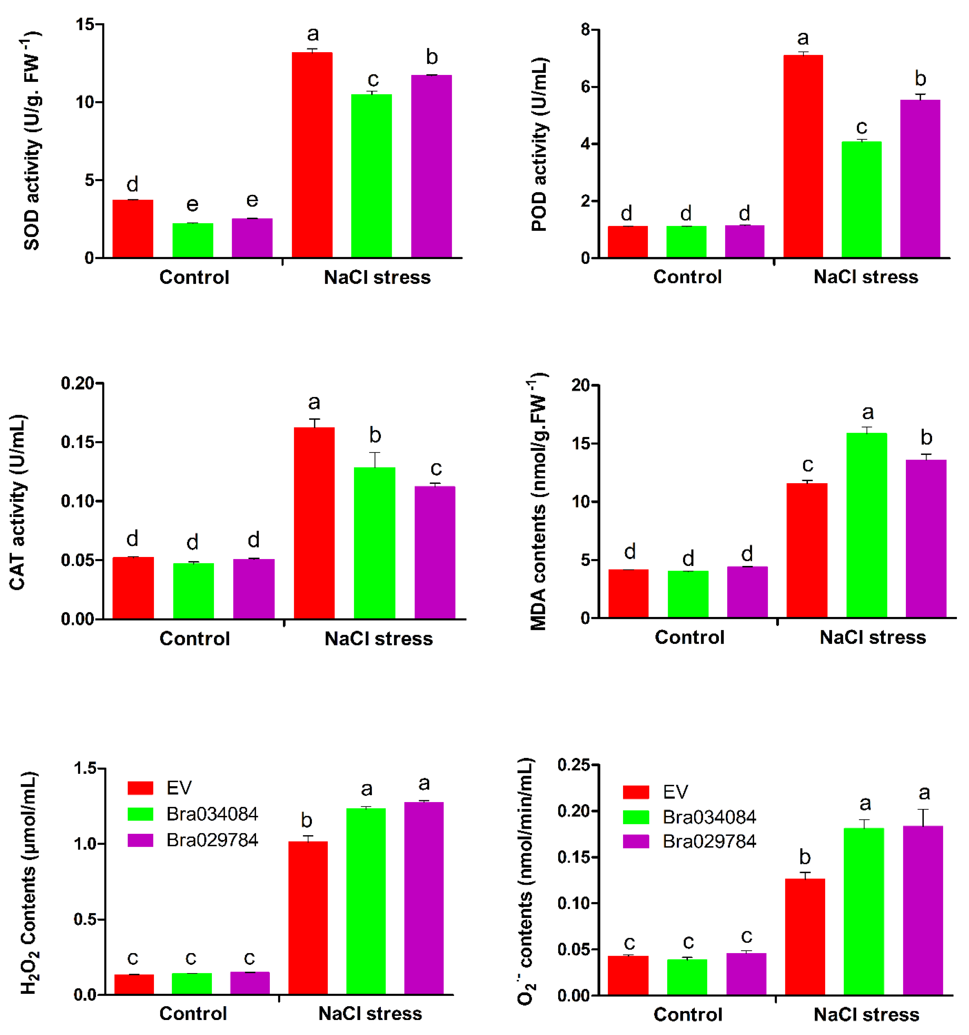Antioxidants 11 01782 g011