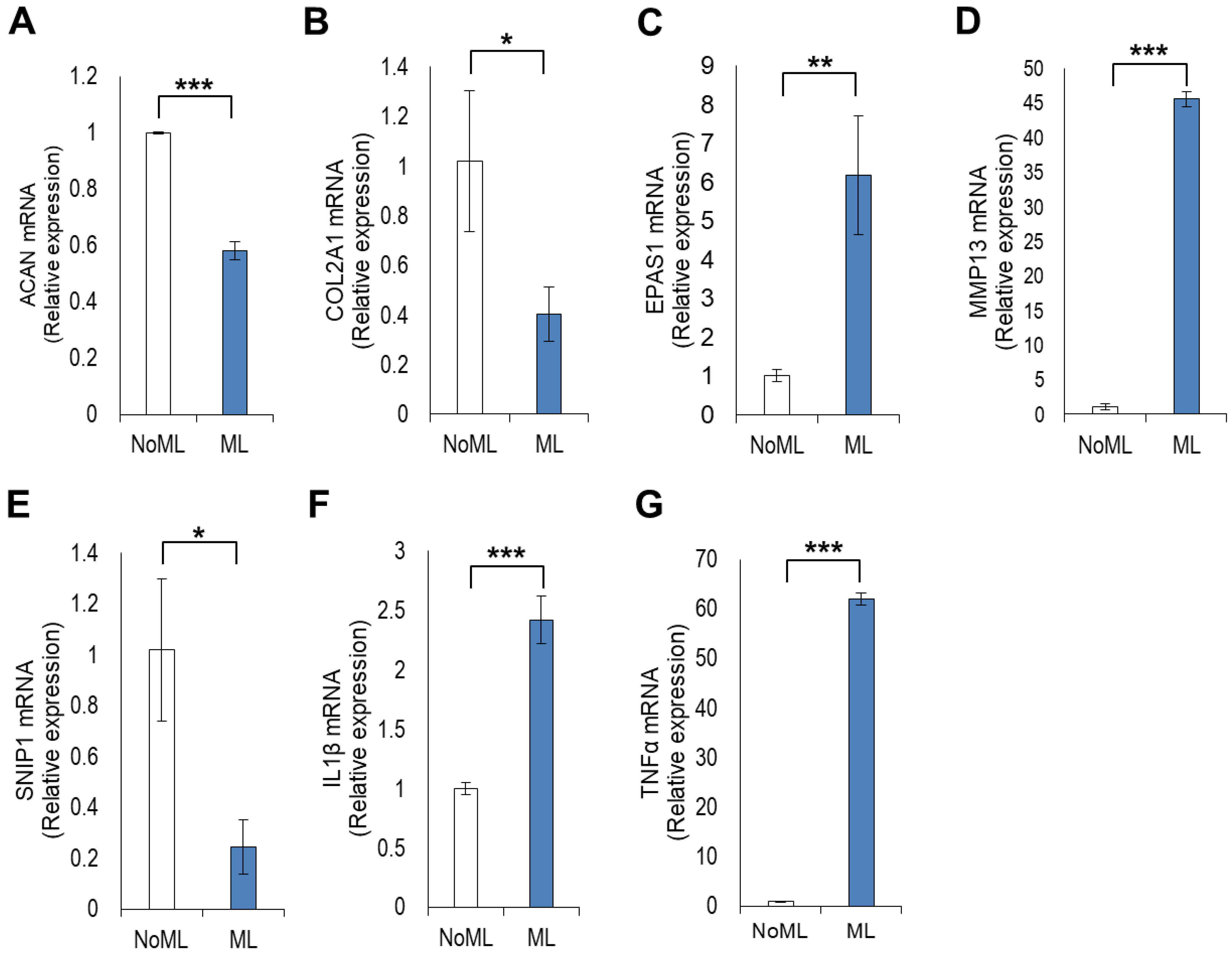 Antioxidants 11 01783 g005 Antioxidants 11 01783 g005