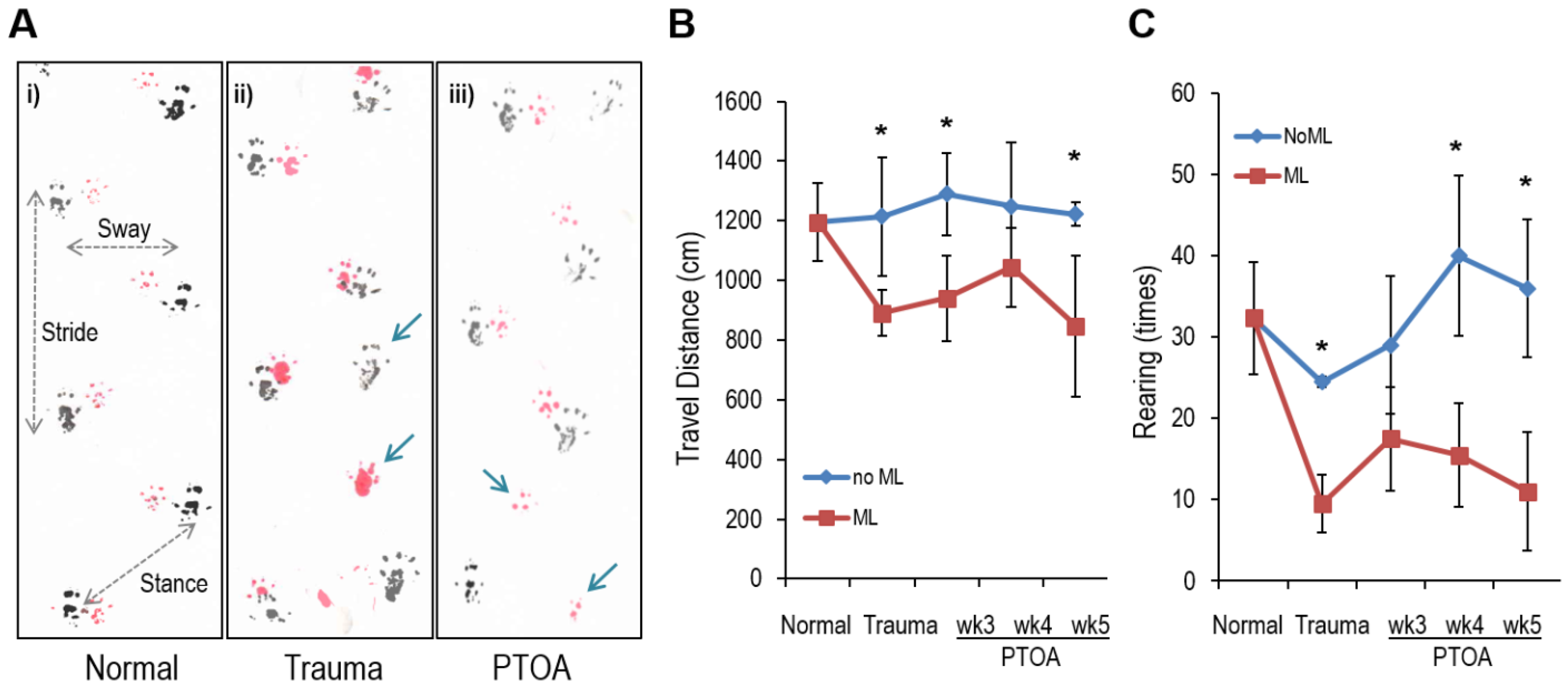 Antioxidants 11 01783 g007 Antioxidants 11 01783 g007