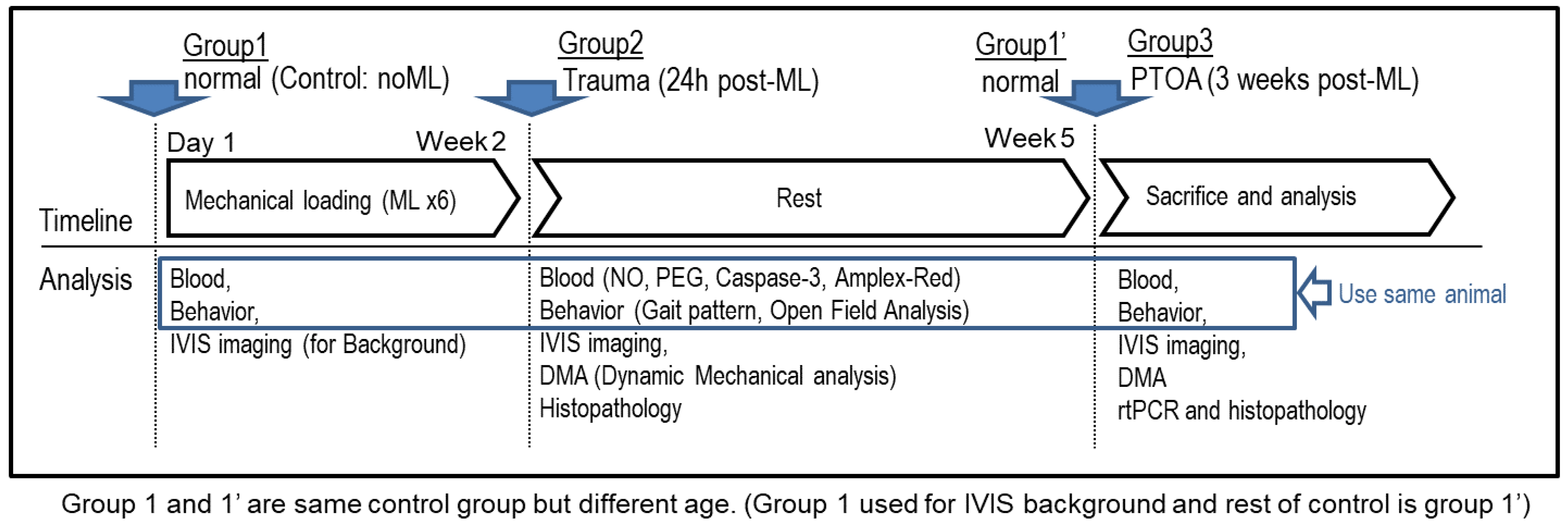 Antioxidants 11 01783 sch001 Antioxidants 11 01783 sch001