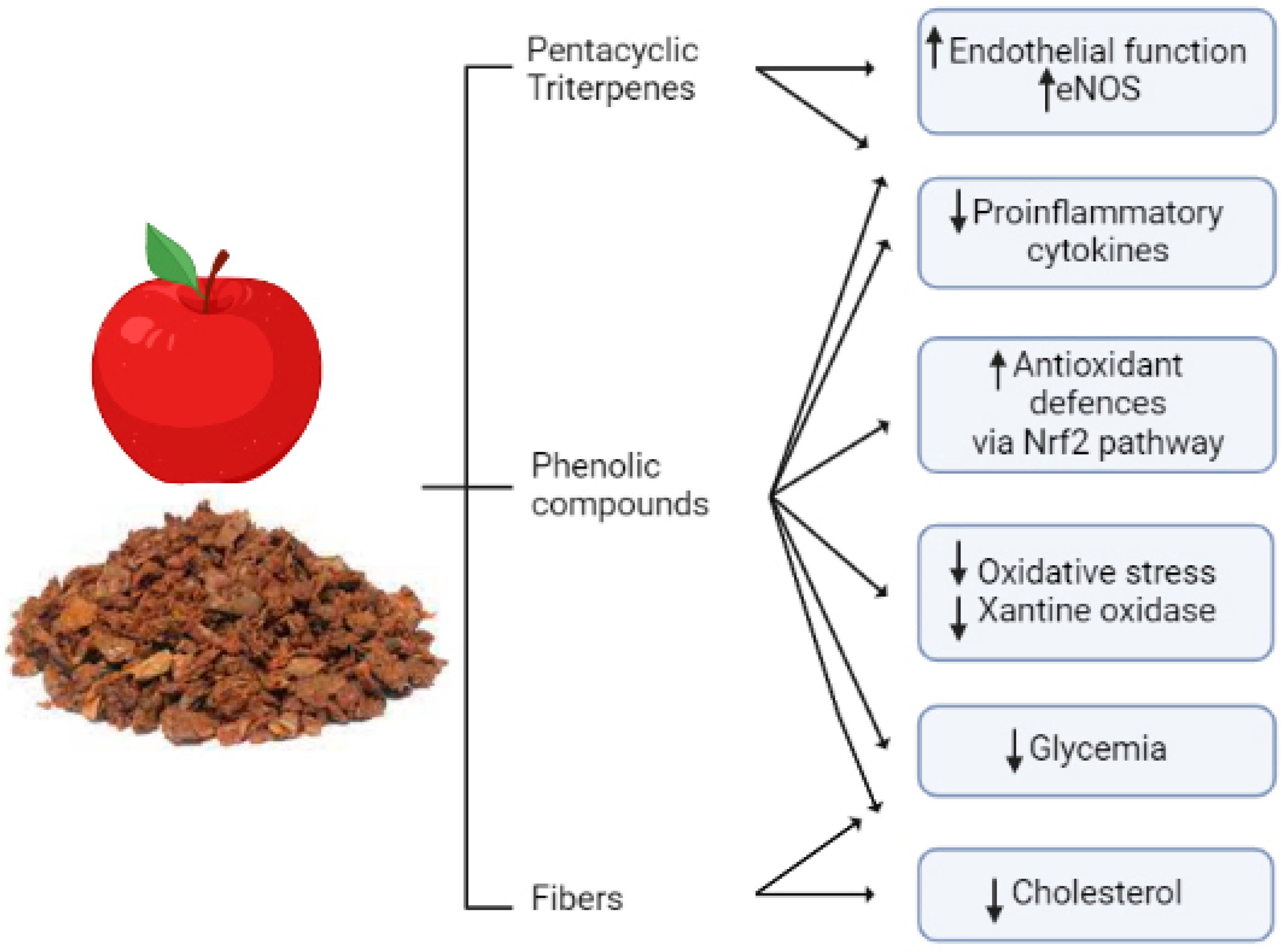 Antioxidants 11 01786 g002