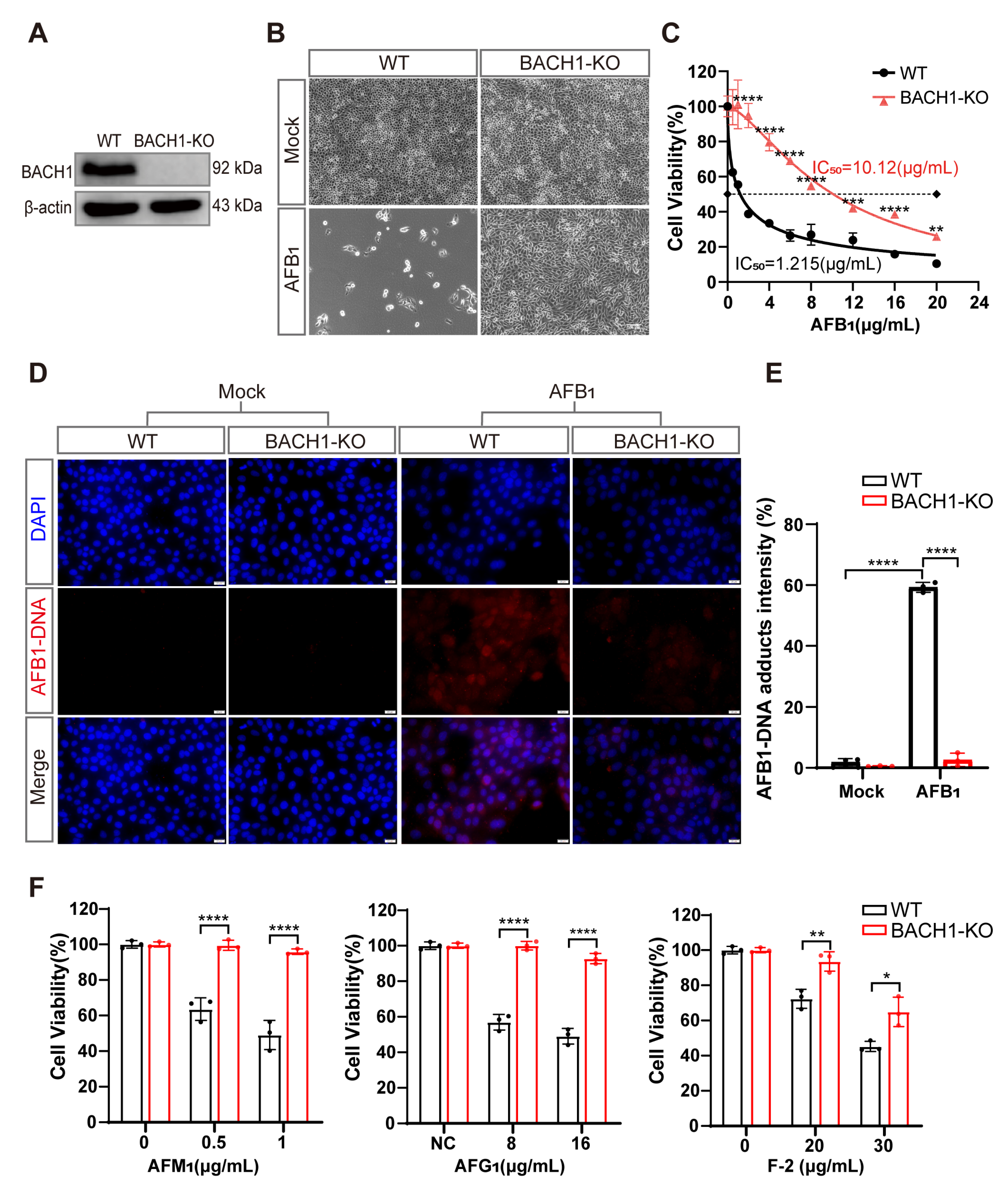 Antioxidants 11 01787 g002