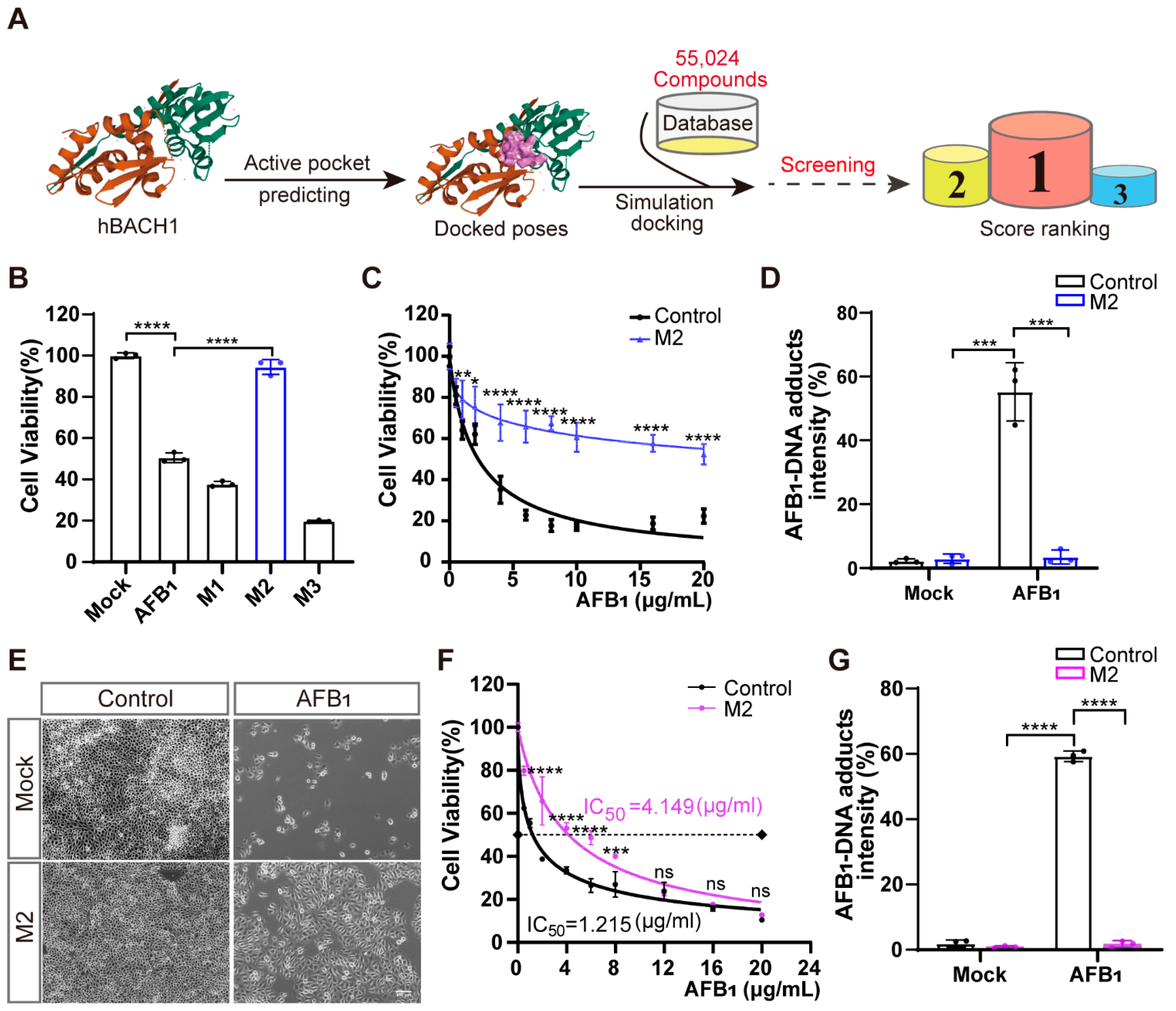 Antioxidants 11 01787 g004