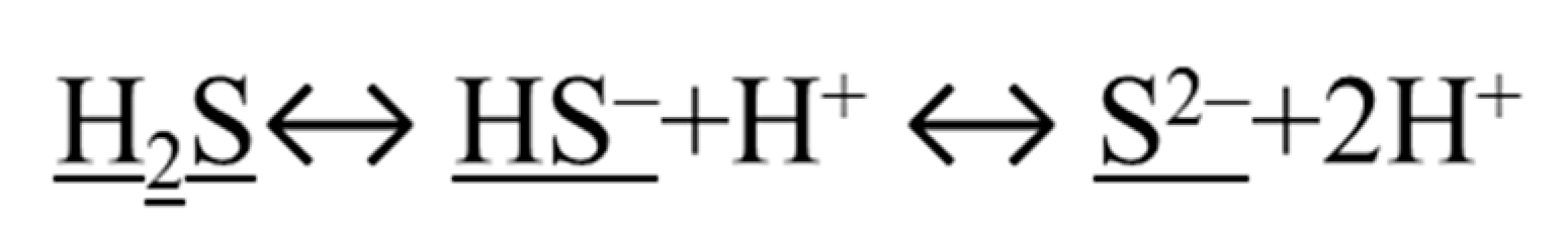 Antioxidants 11 01788 g002 Antioxidants 11 01788 g002