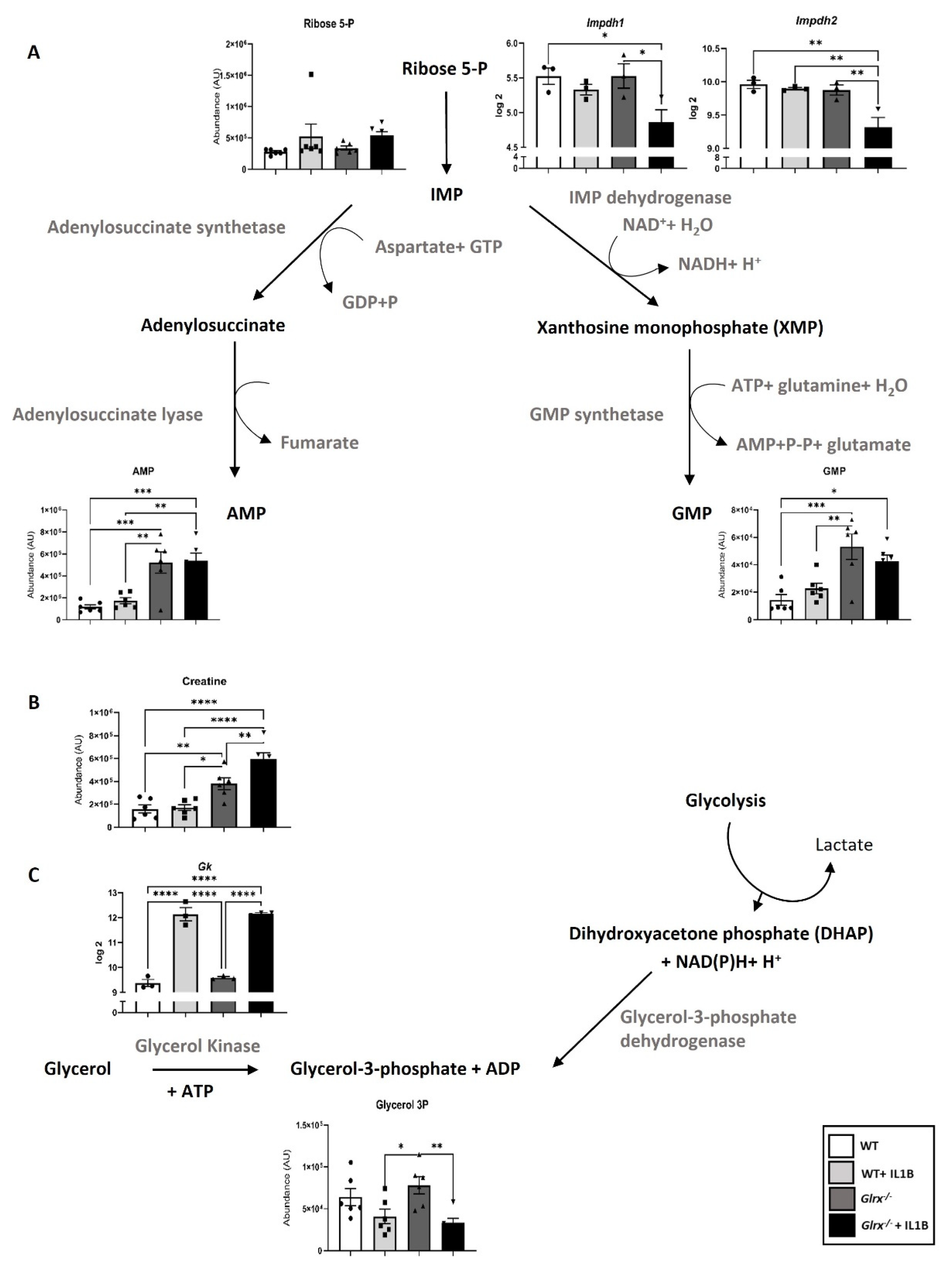 Antioxidants 11 01789 g002