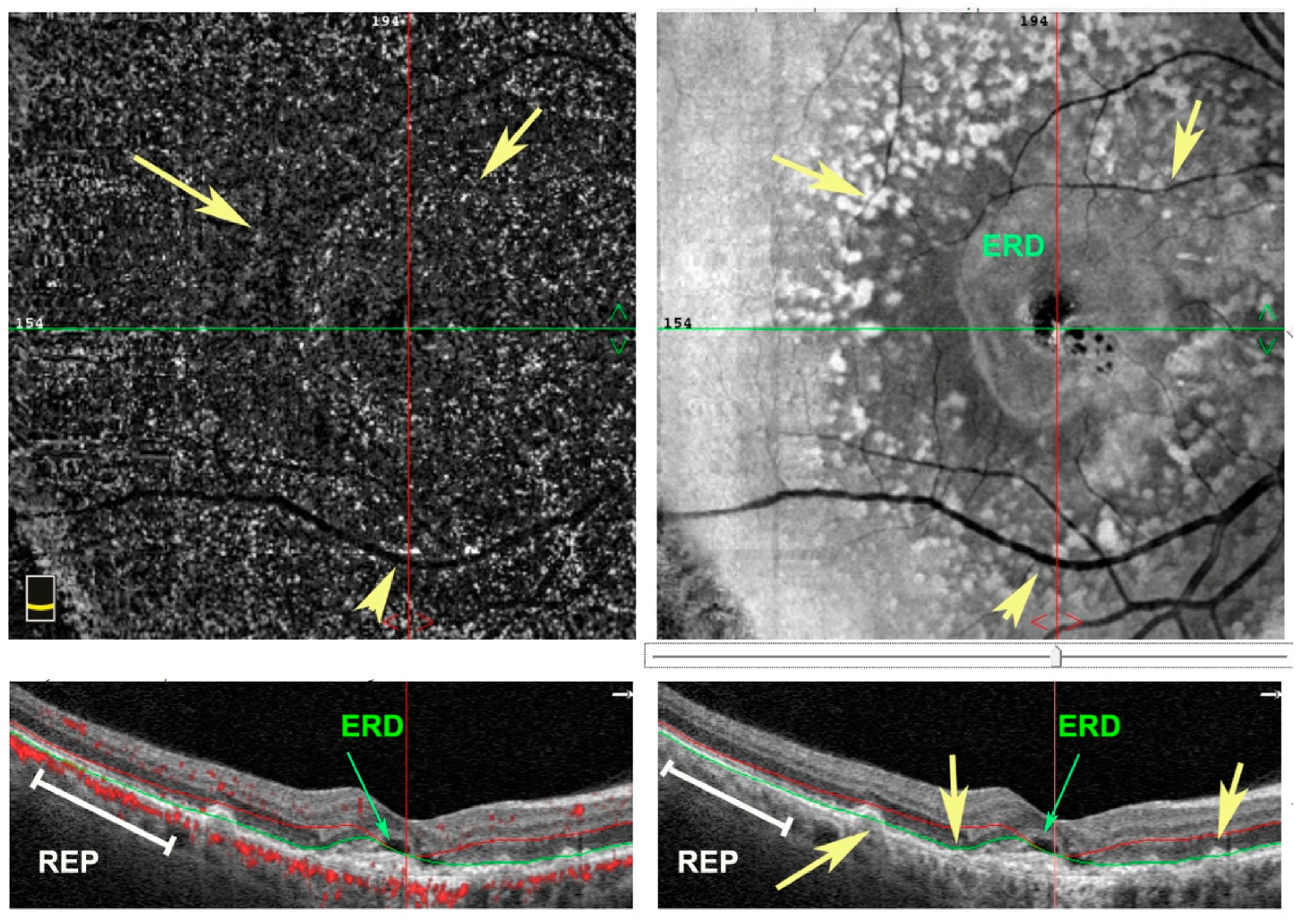 Antioxidants 11 01790 g001