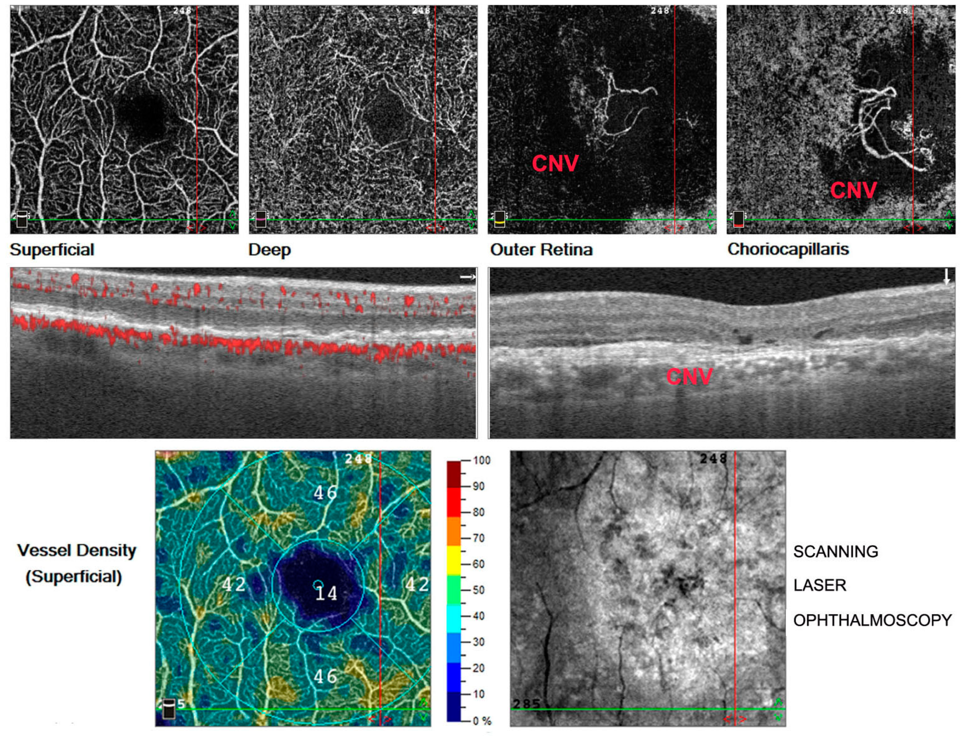 Antioxidants 11 01790 g002