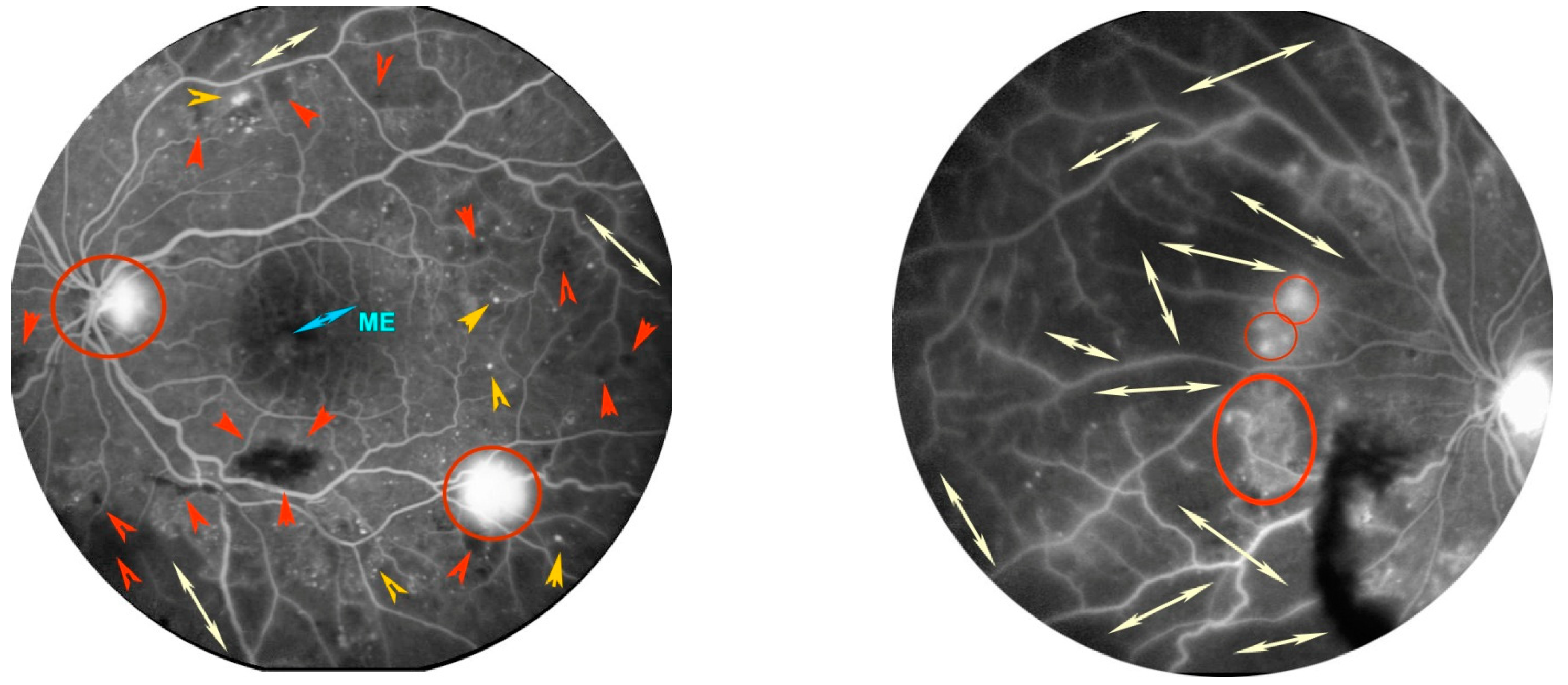 Antioxidants 11 01790 g003