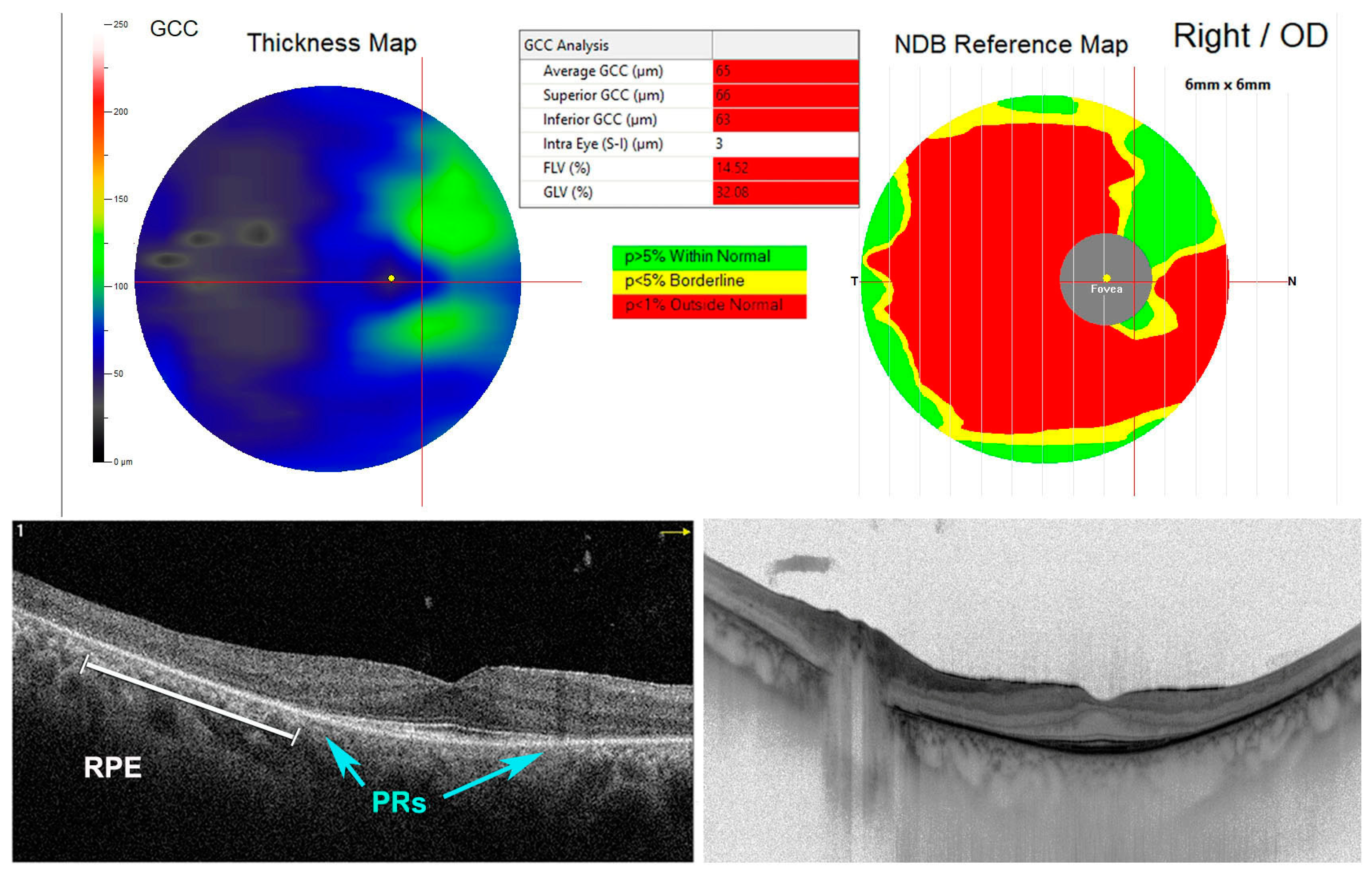 Antioxidants 11 01790 g004