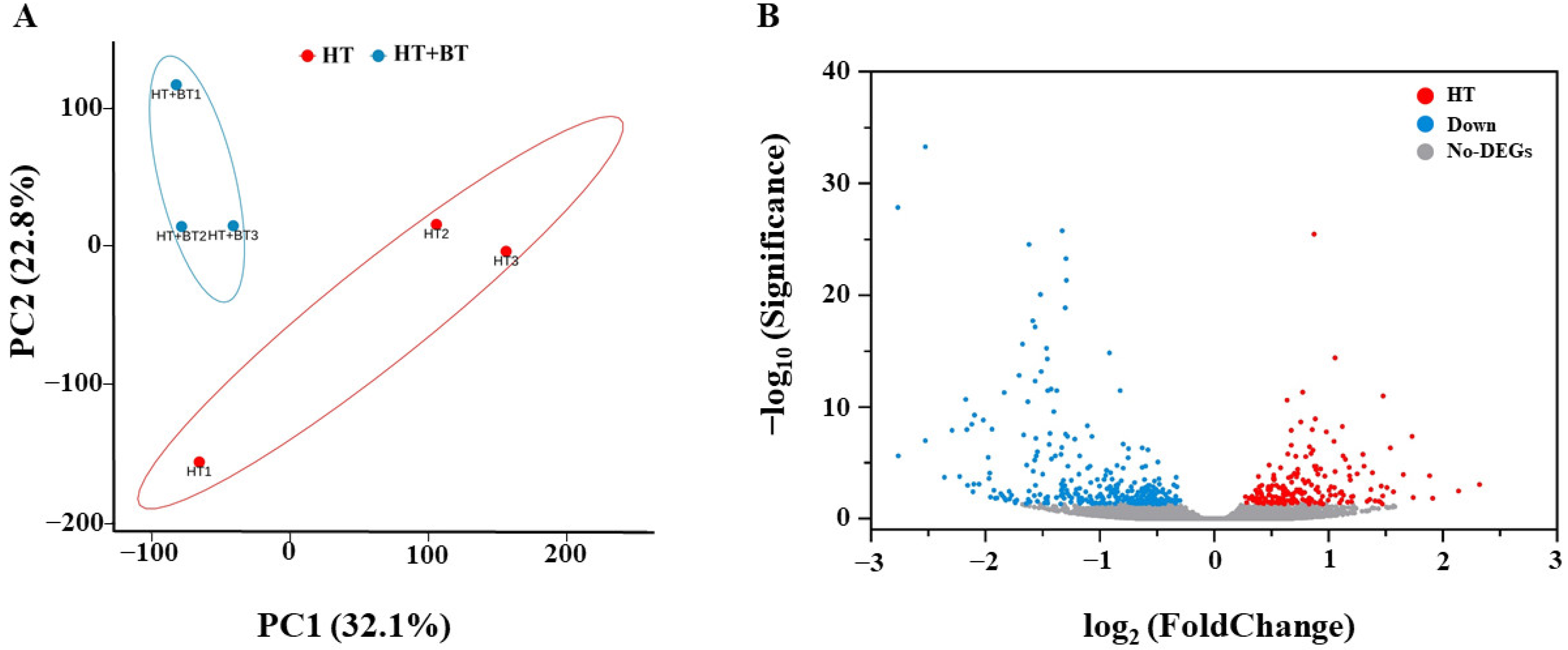 Antioxidants 11 01792 g004