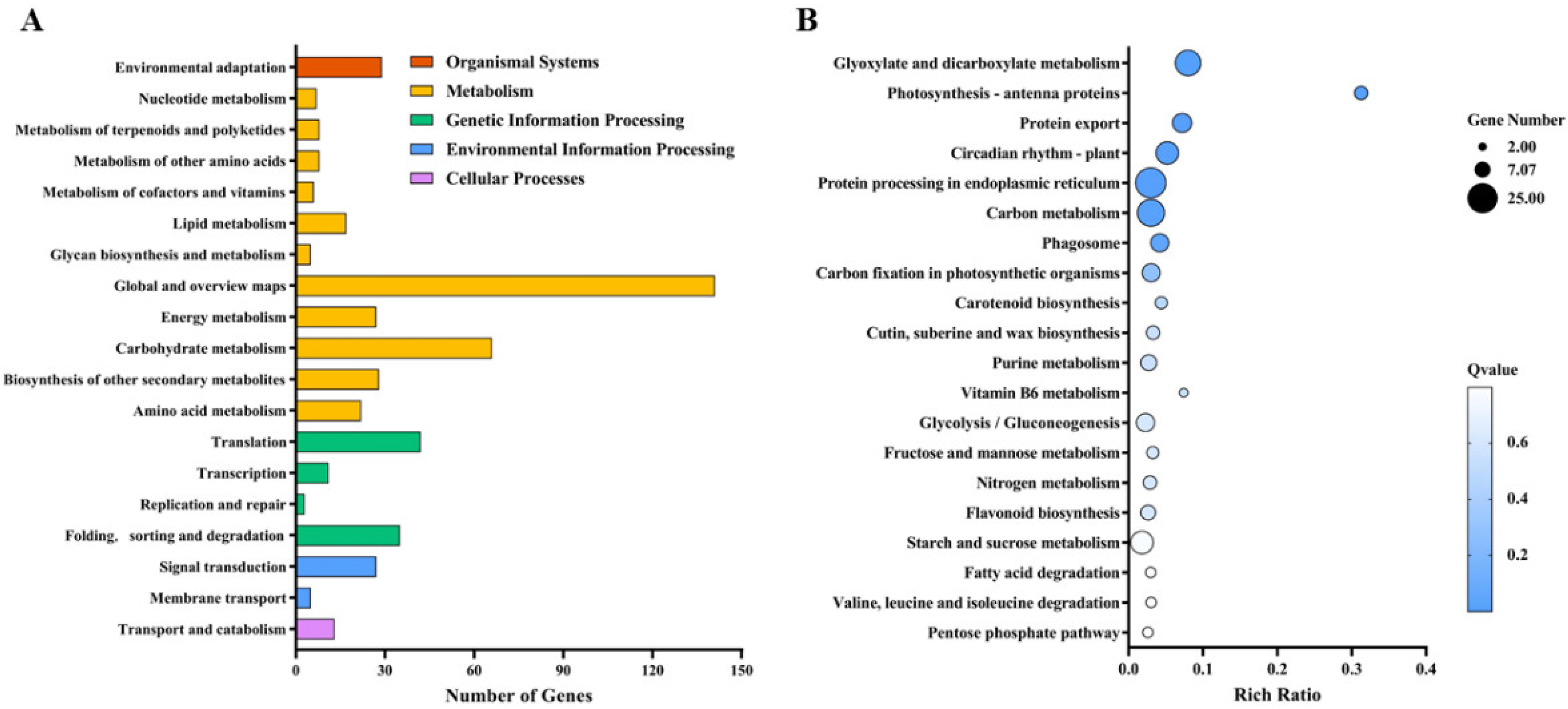 Antioxidants 11 01792 g006
