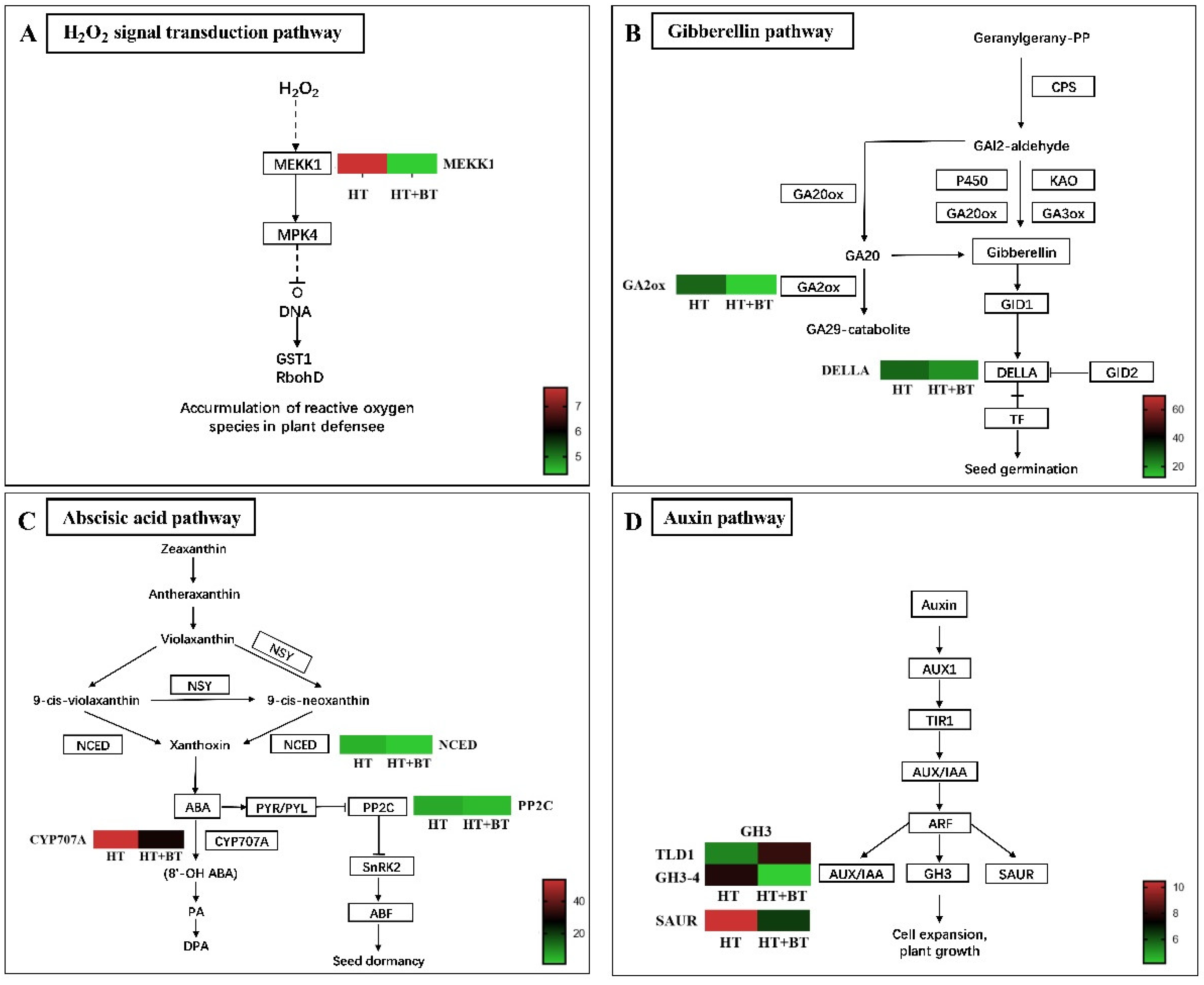 Antioxidants 11 01792 g007