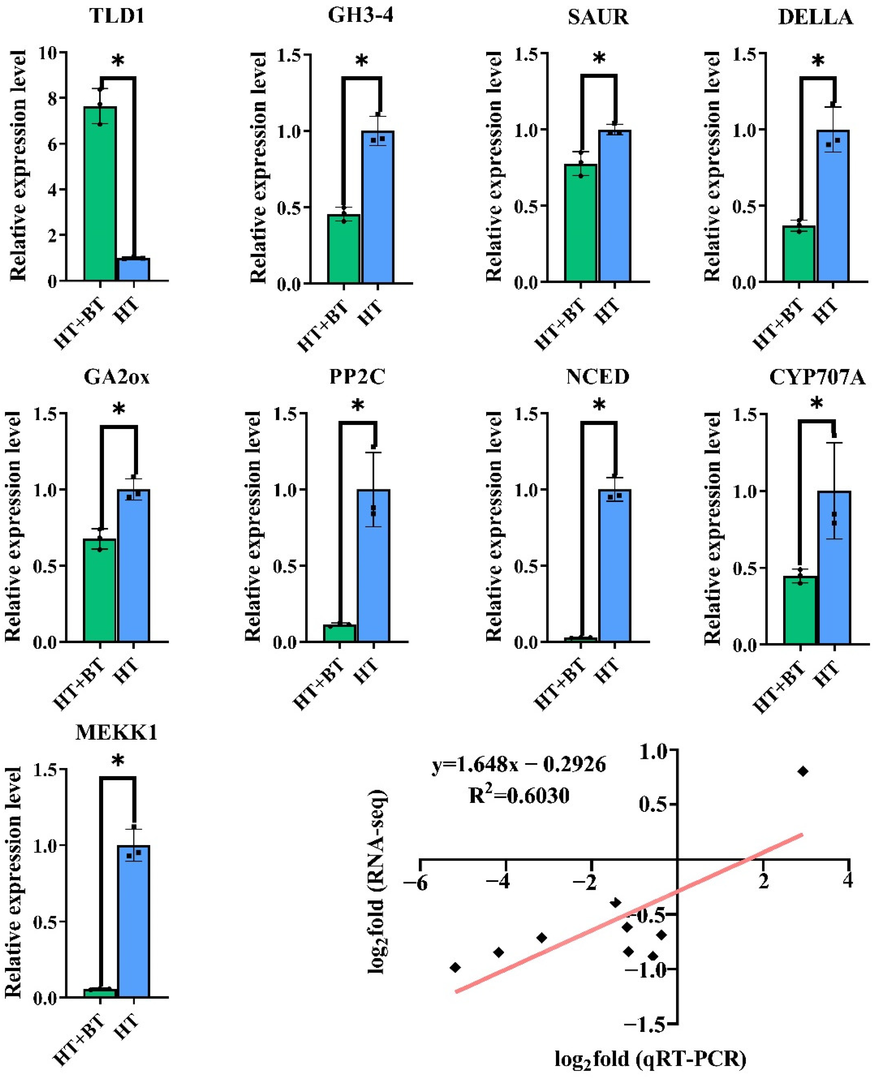 Antioxidants 11 01792 g008