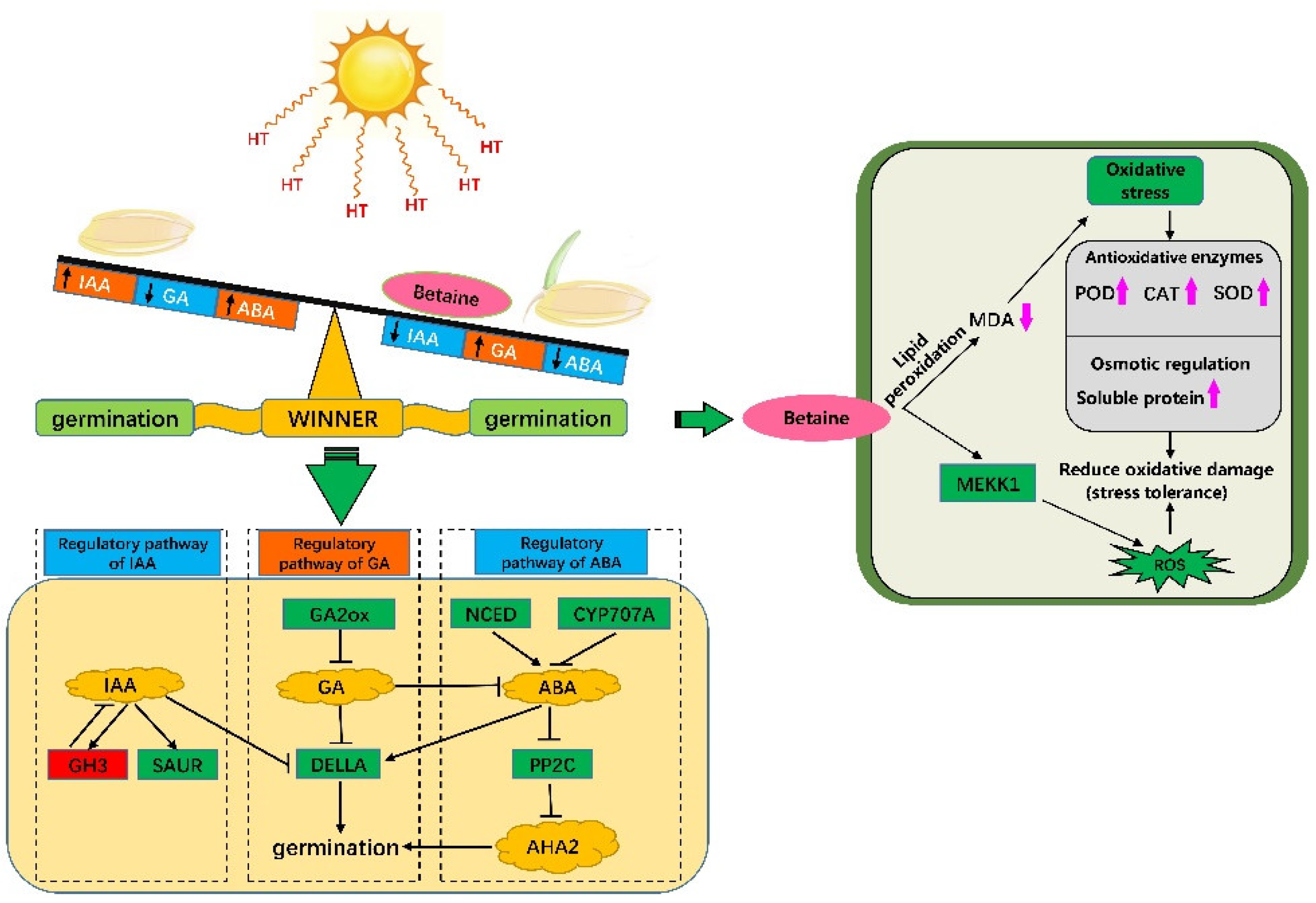 Antioxidants 11 01792 g009