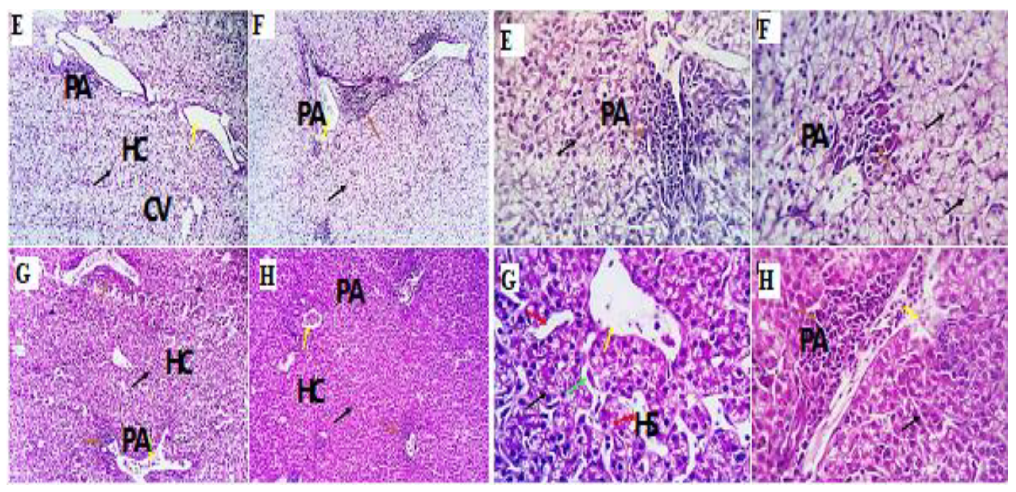 Antioxidants 11 01798 g002