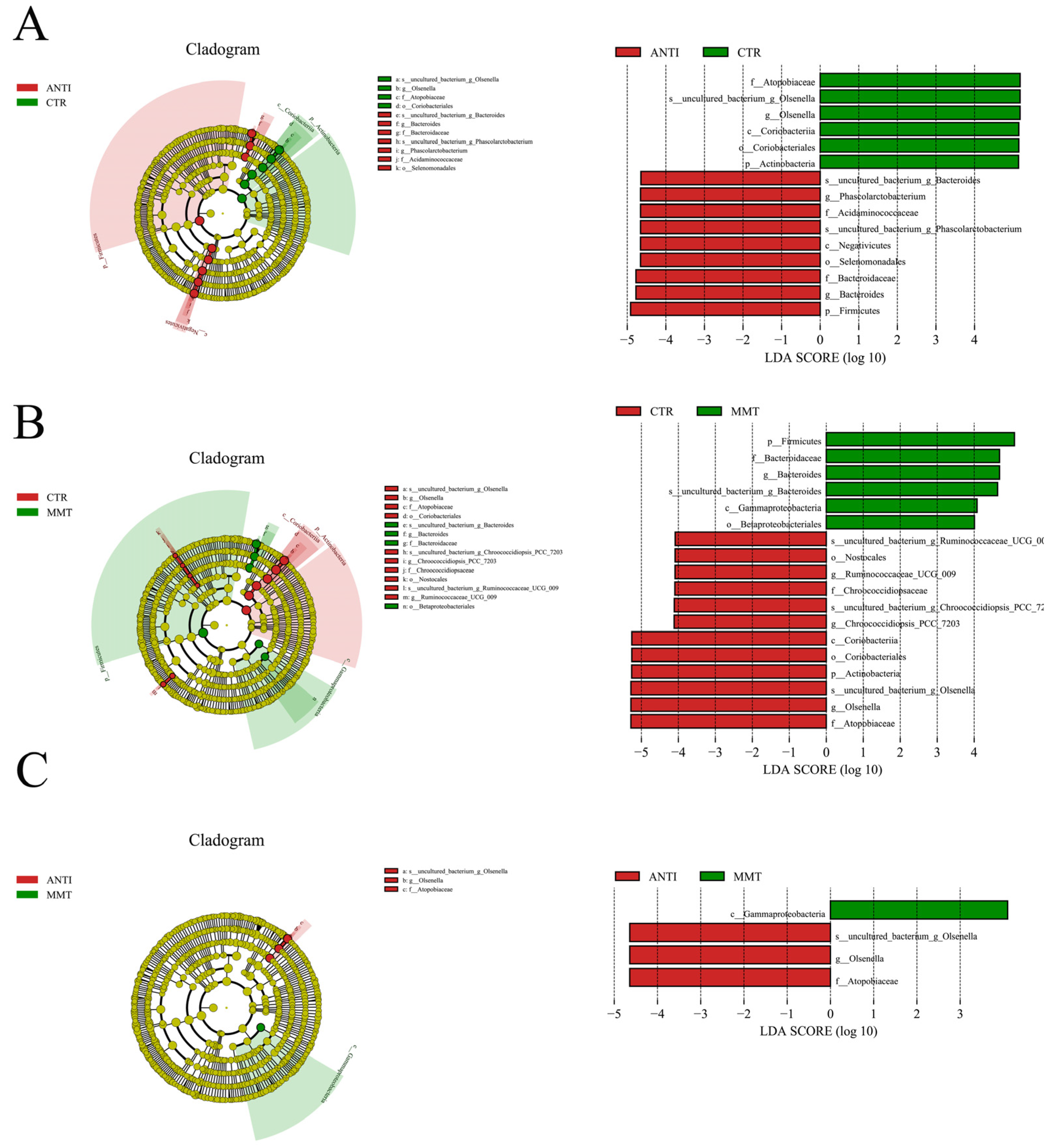 Antioxidants 11 01799 g003