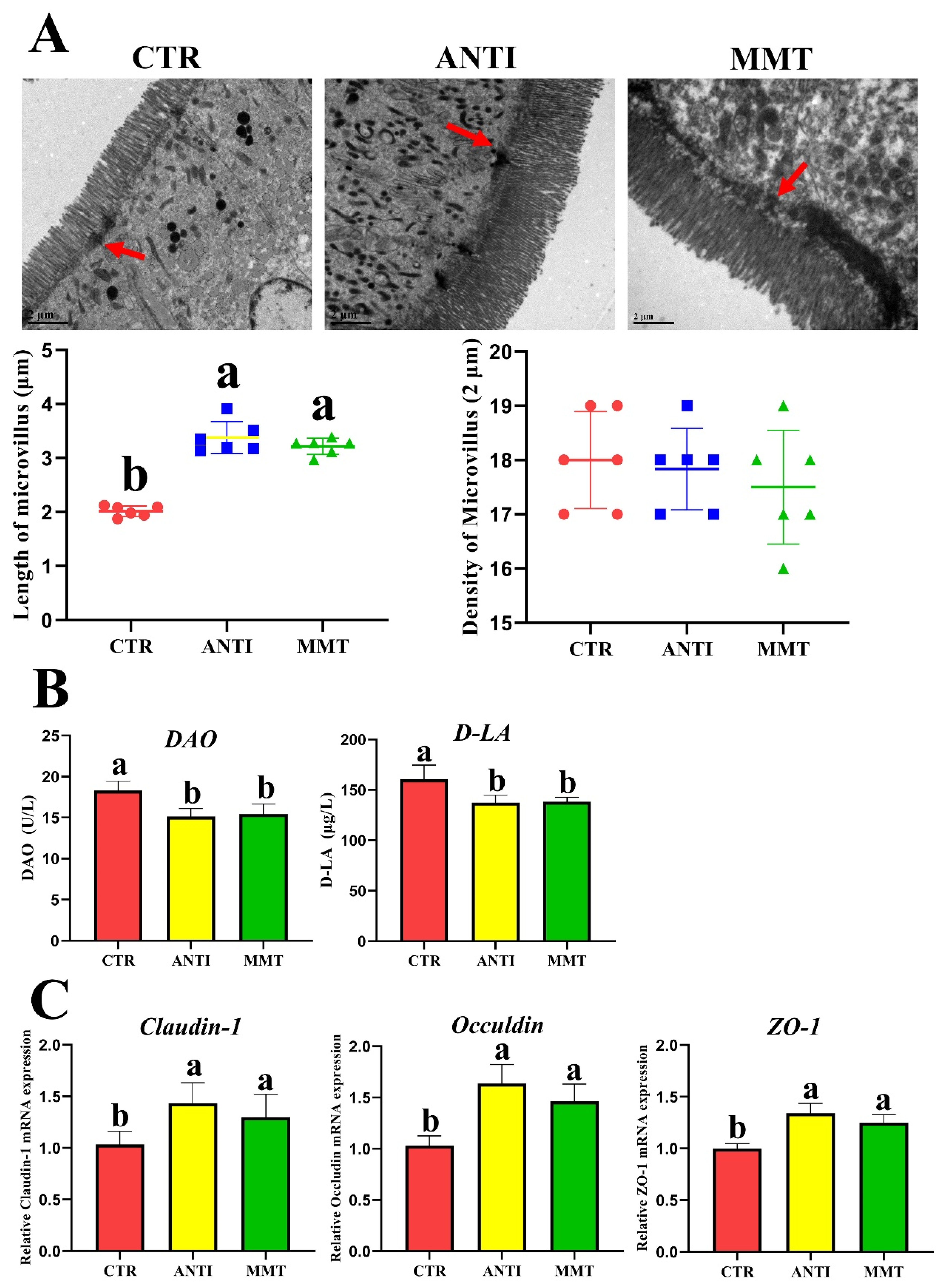 Antioxidants 11 01799 g005