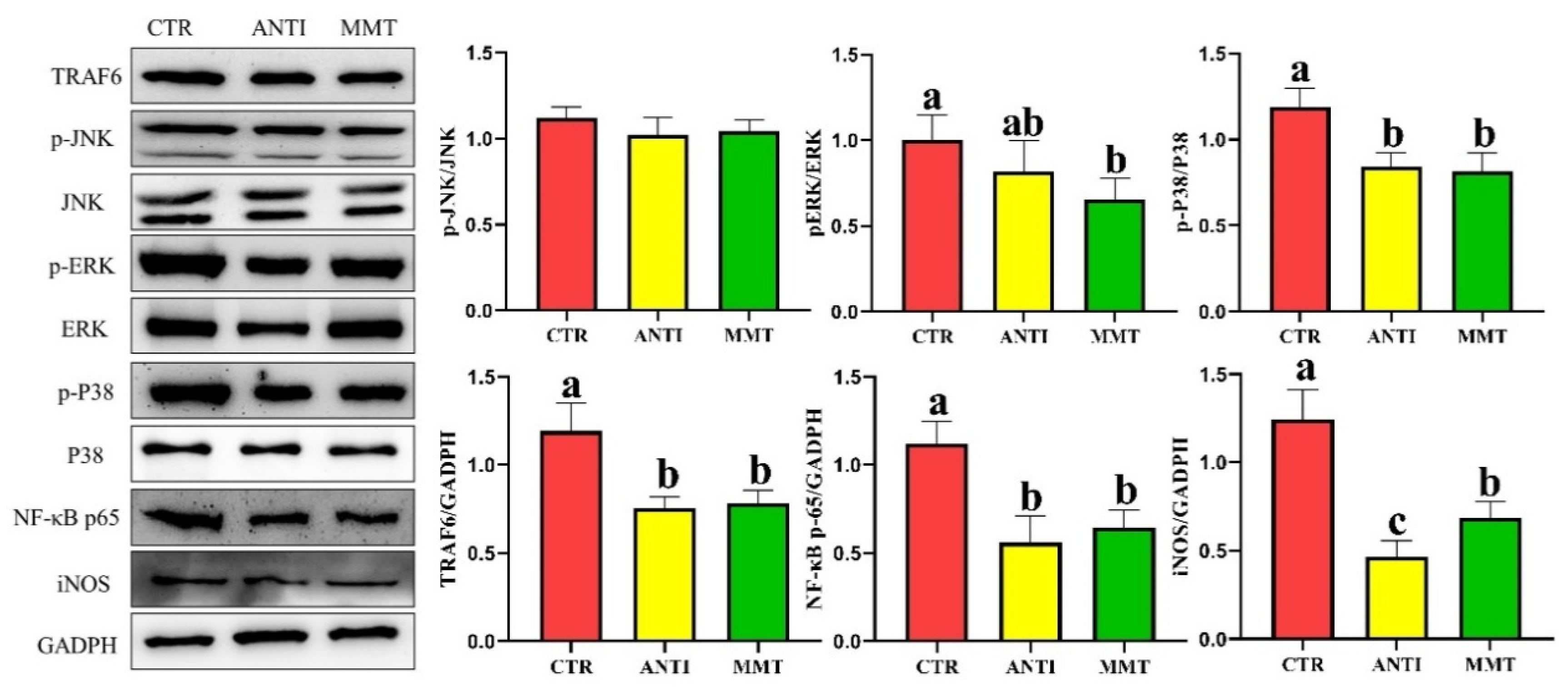 Antioxidants 11 01799 g008