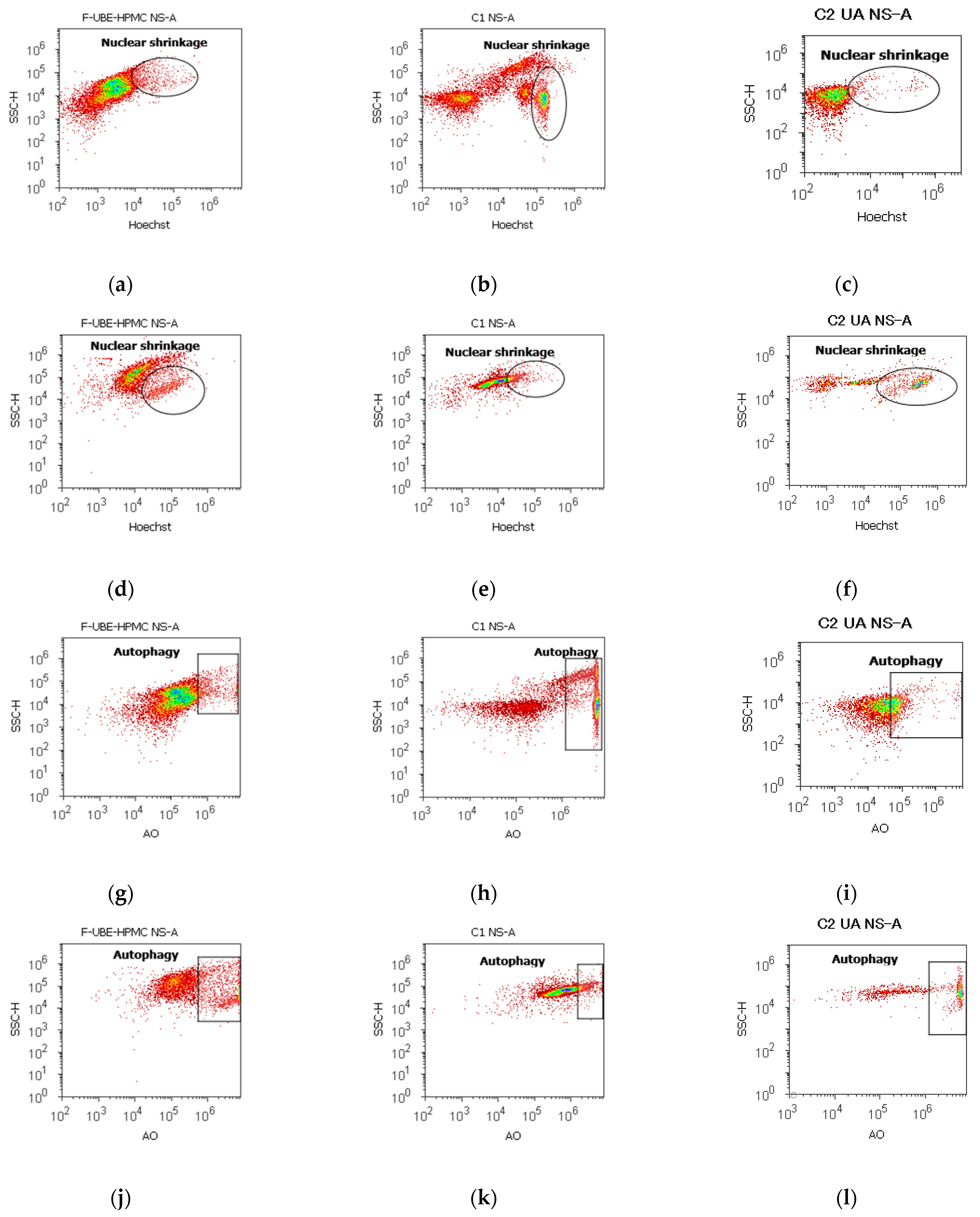 Antioxidants 11 01801 g007a