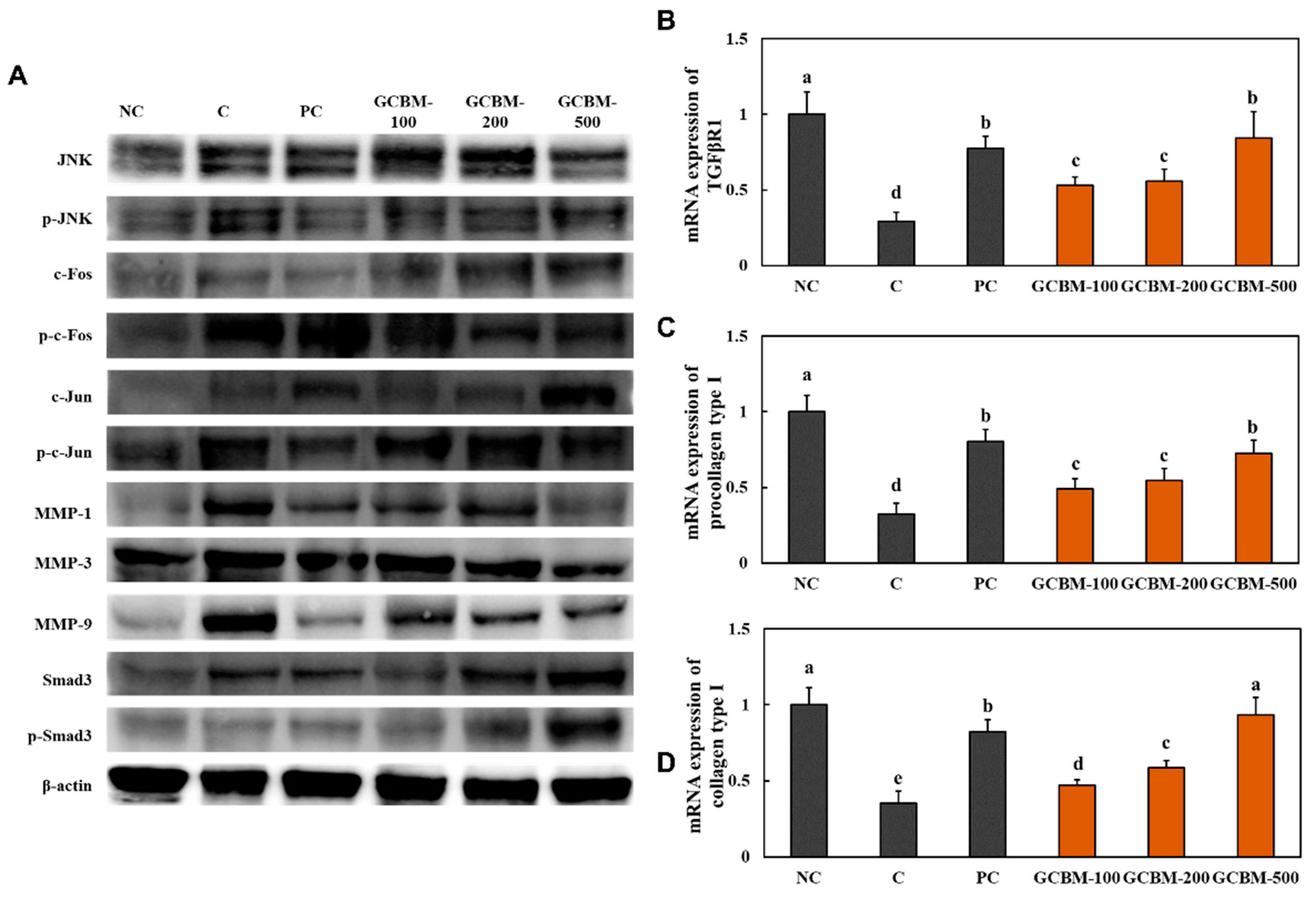 Antioxidants 11 01804 g003
