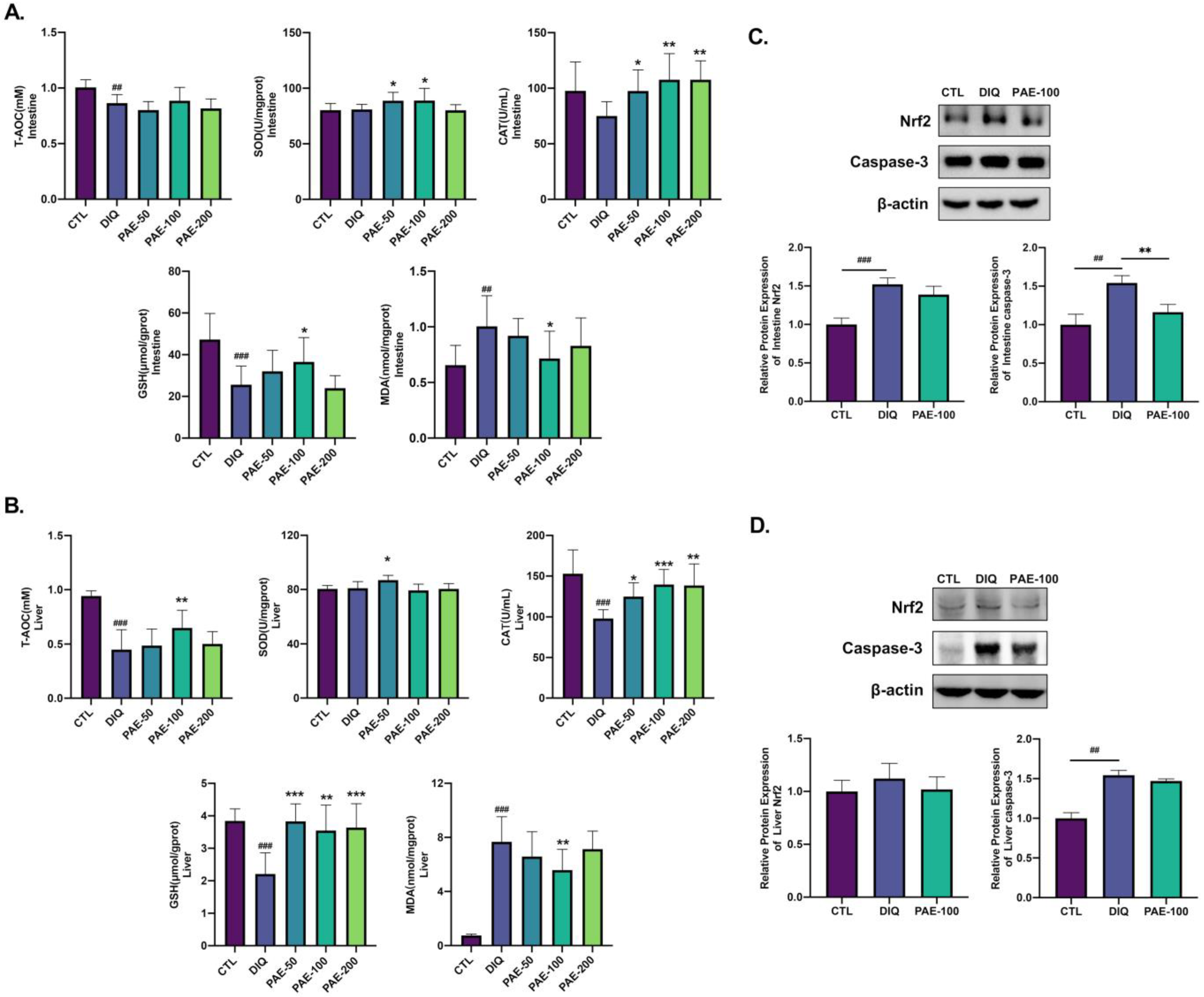 Antioxidants 11 01806 g004