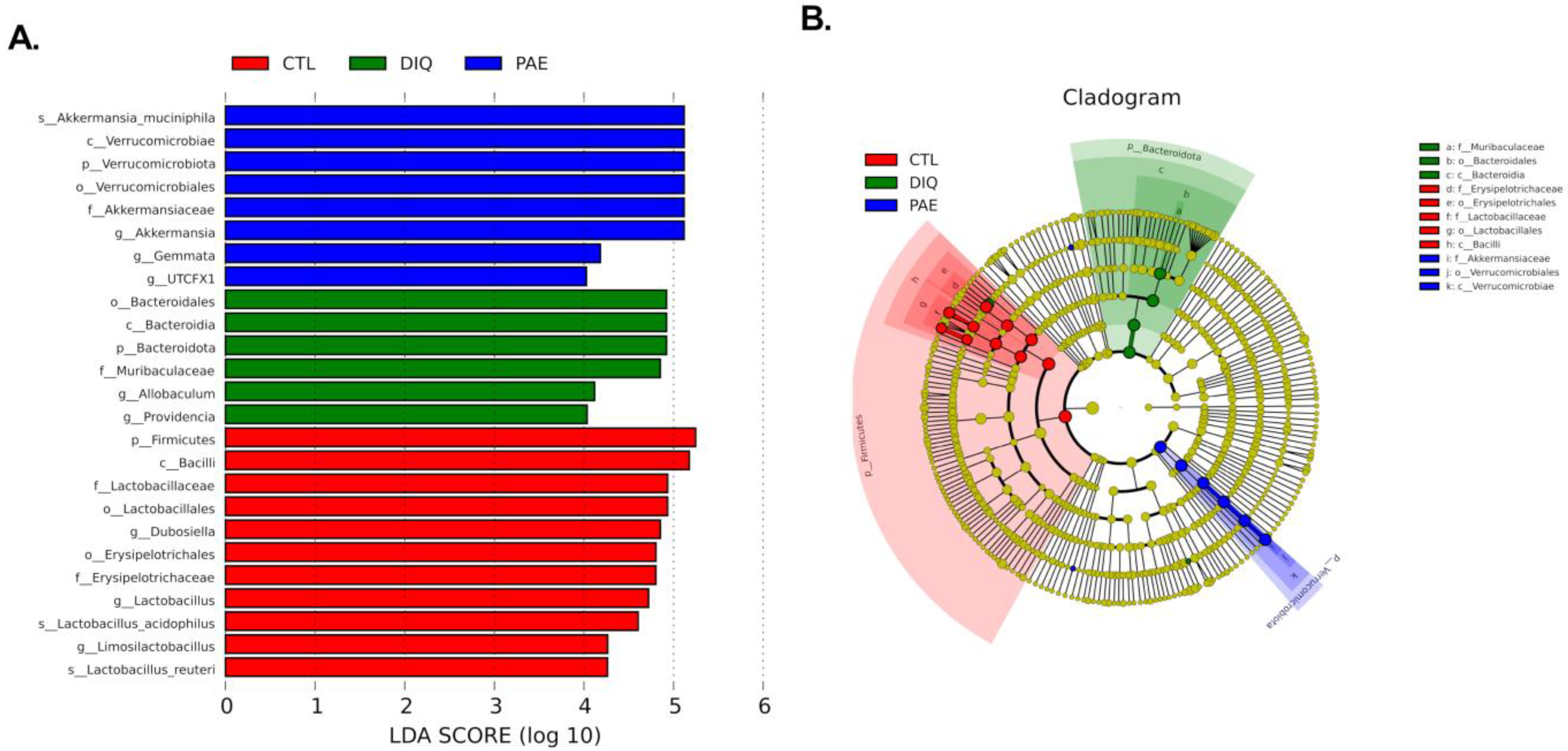 Antioxidants 11 01806 g007