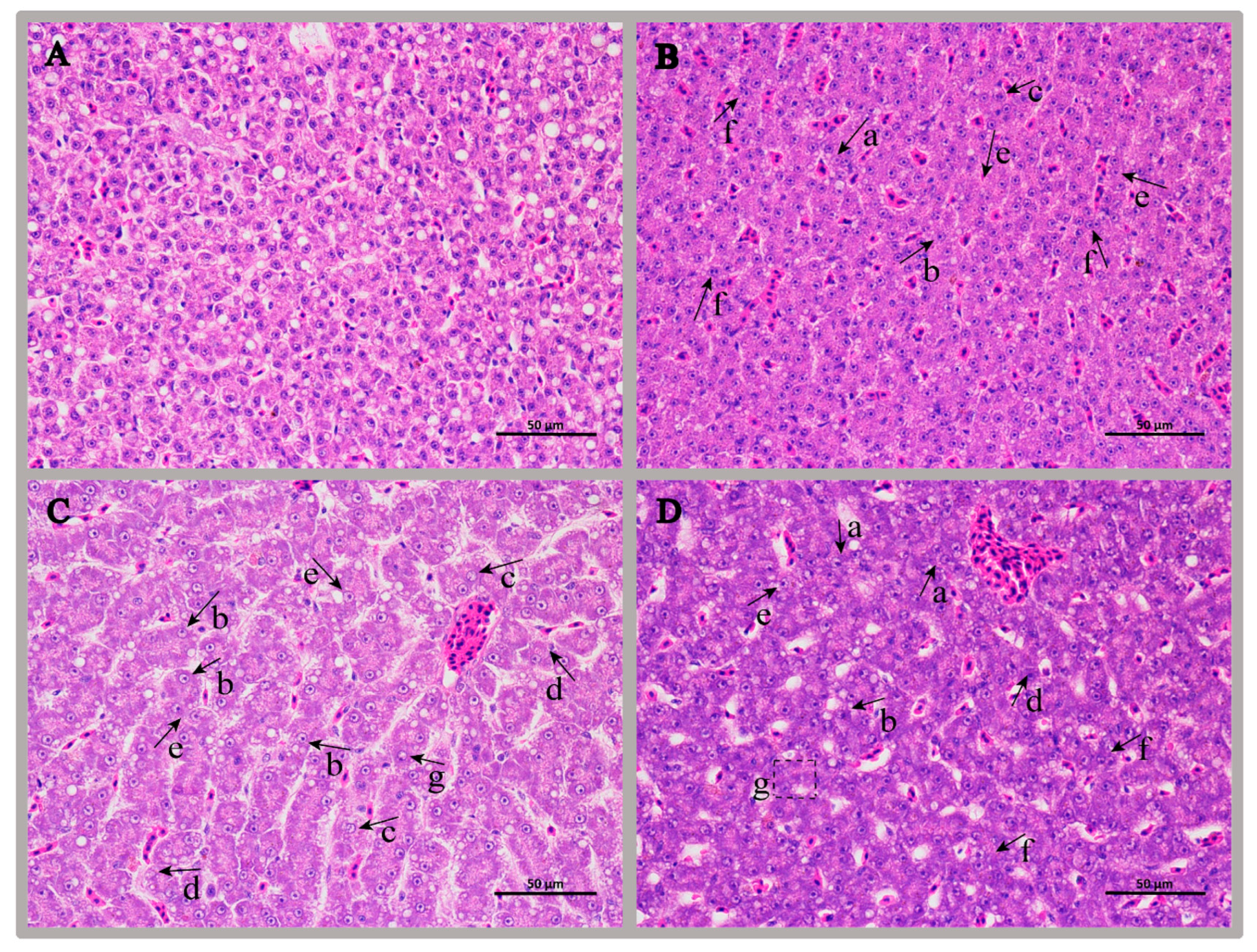 Antioxidants 11 01809 g001