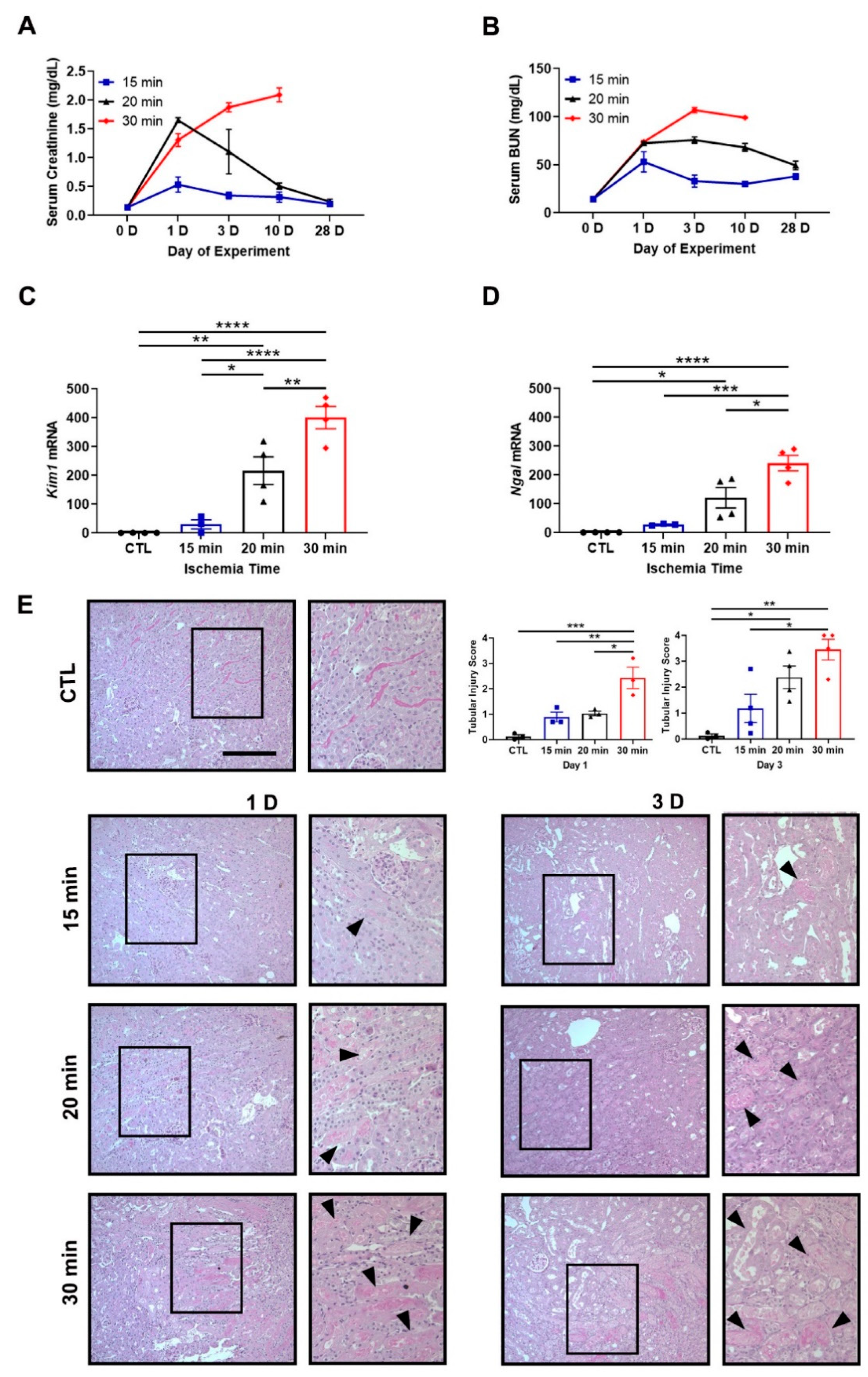 Antioxidants 11 01810 g001