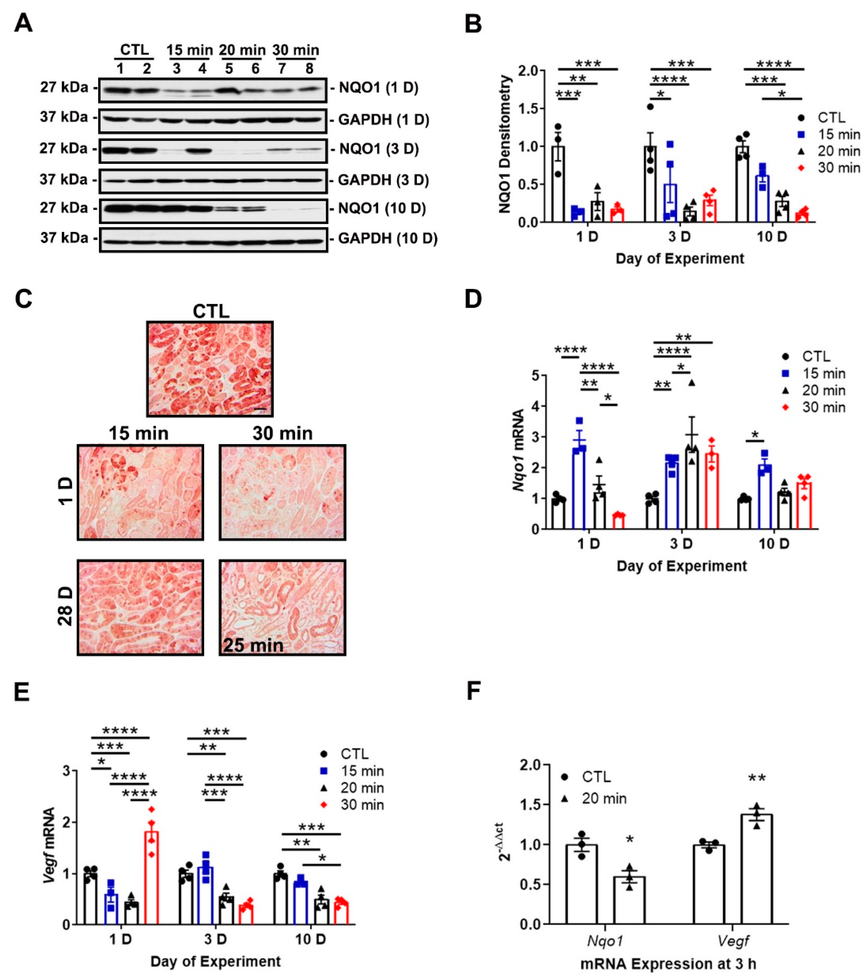 Antioxidants 11 01810 g003