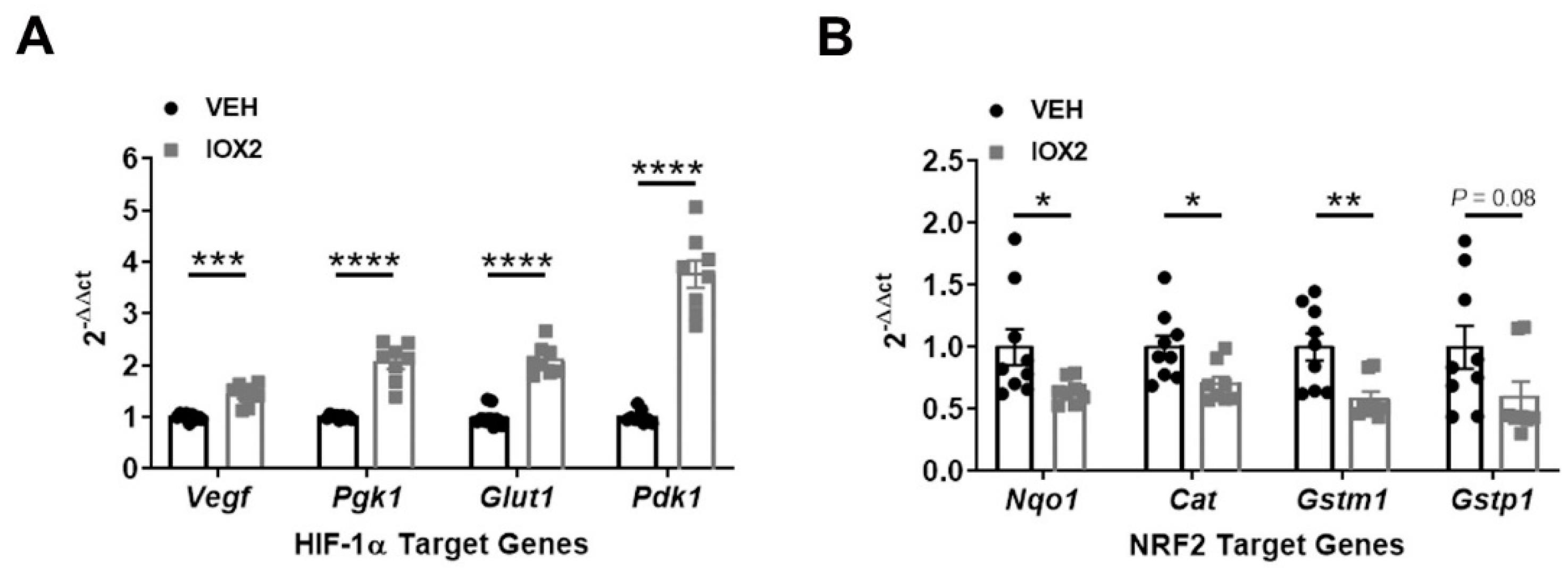 Antioxidants 11 01810 g004