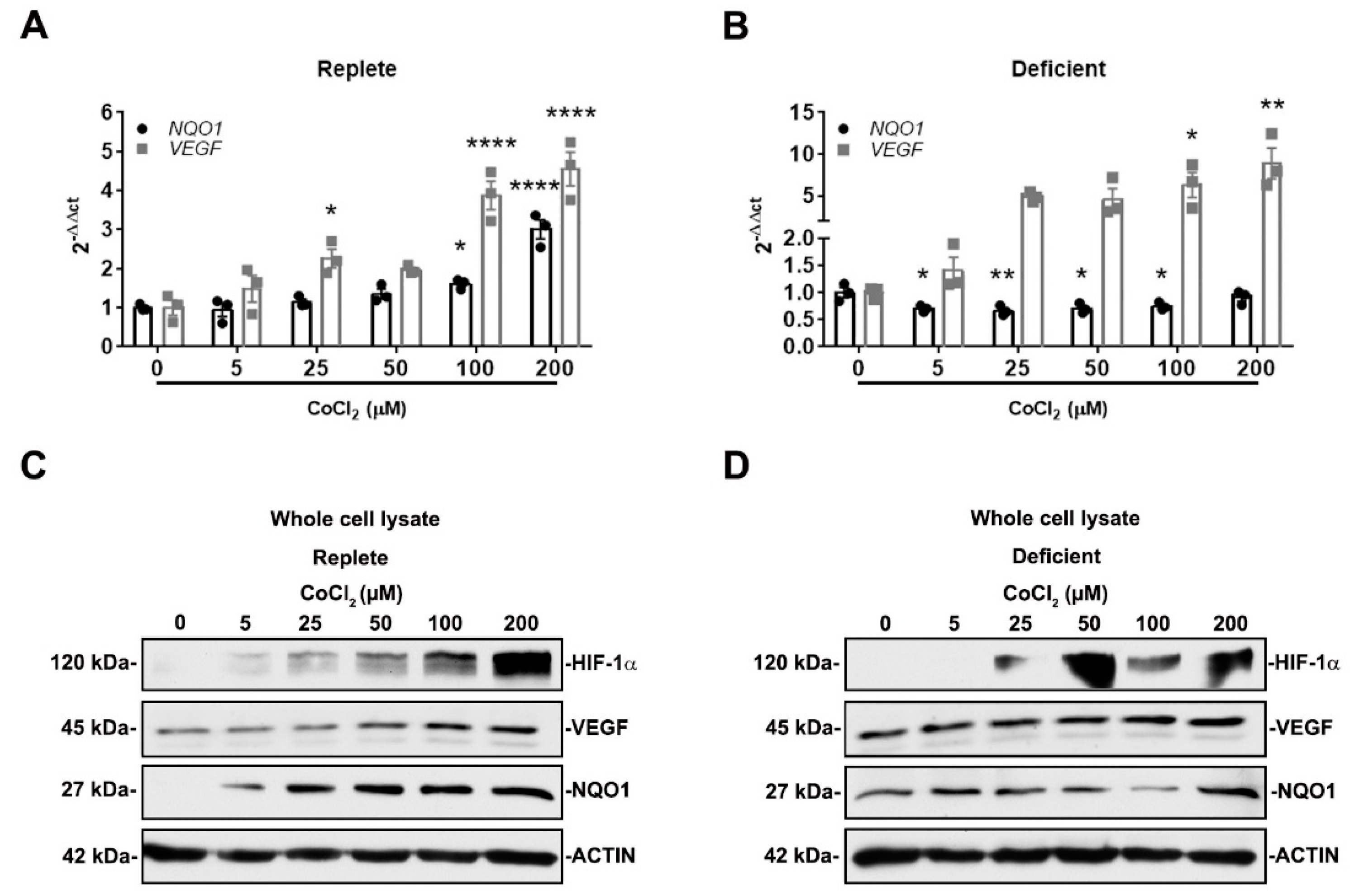 Antioxidants 11 01810 g005