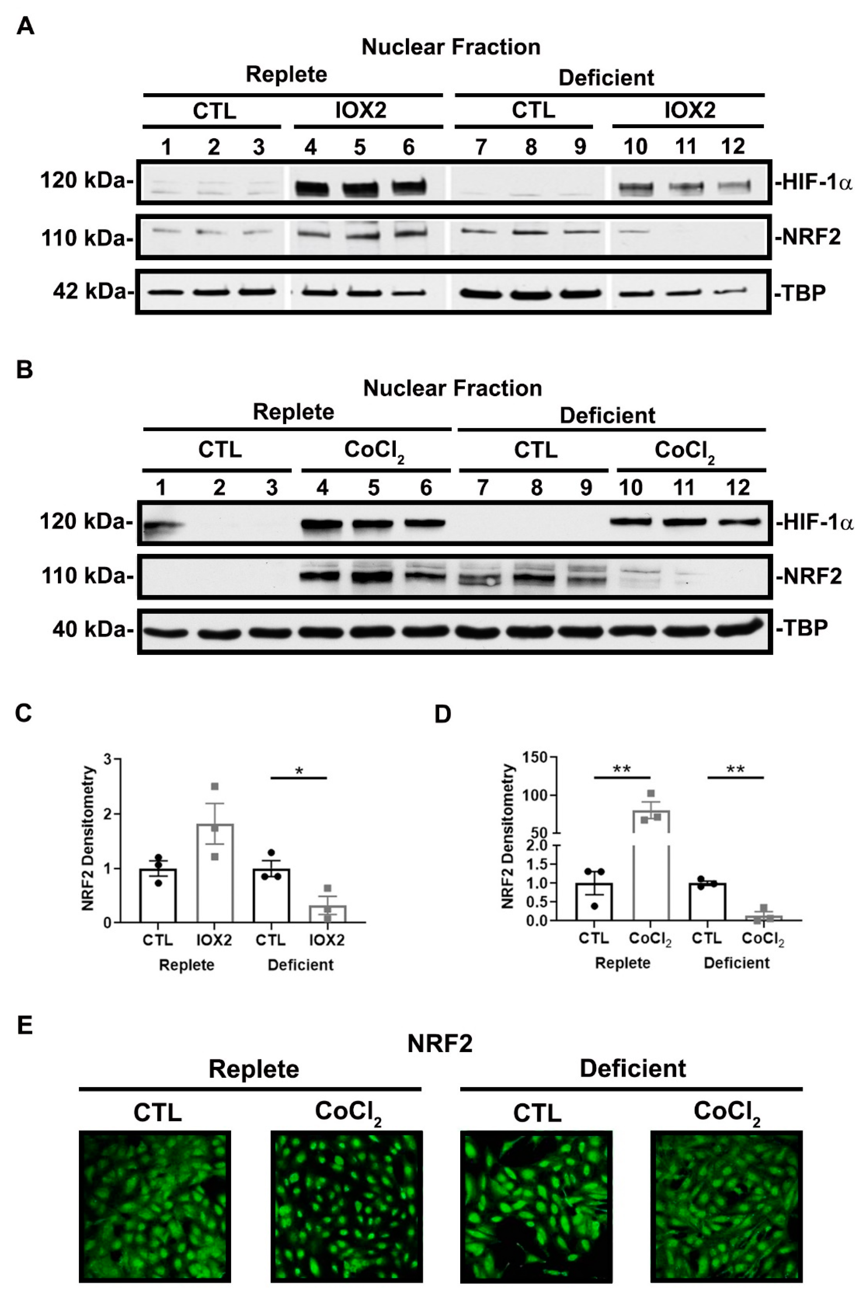 Antioxidants 11 01810 g006