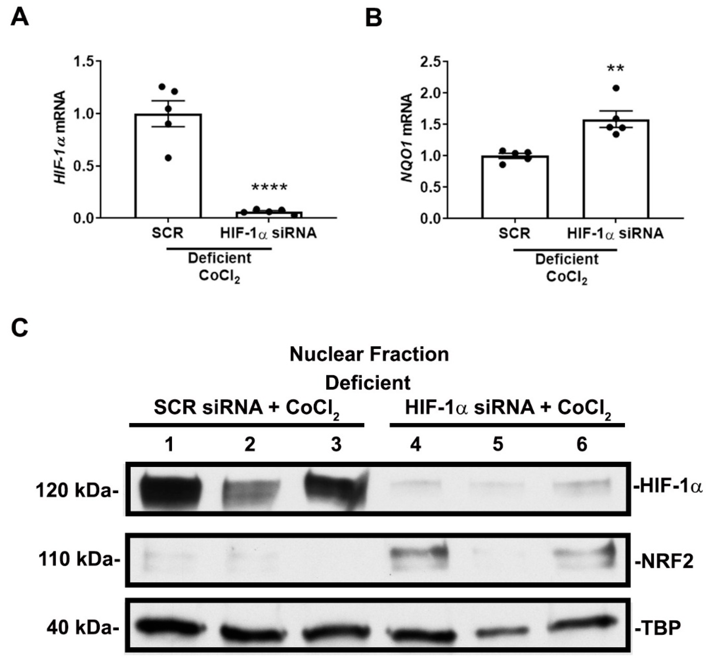 Antioxidants 11 01810 g007