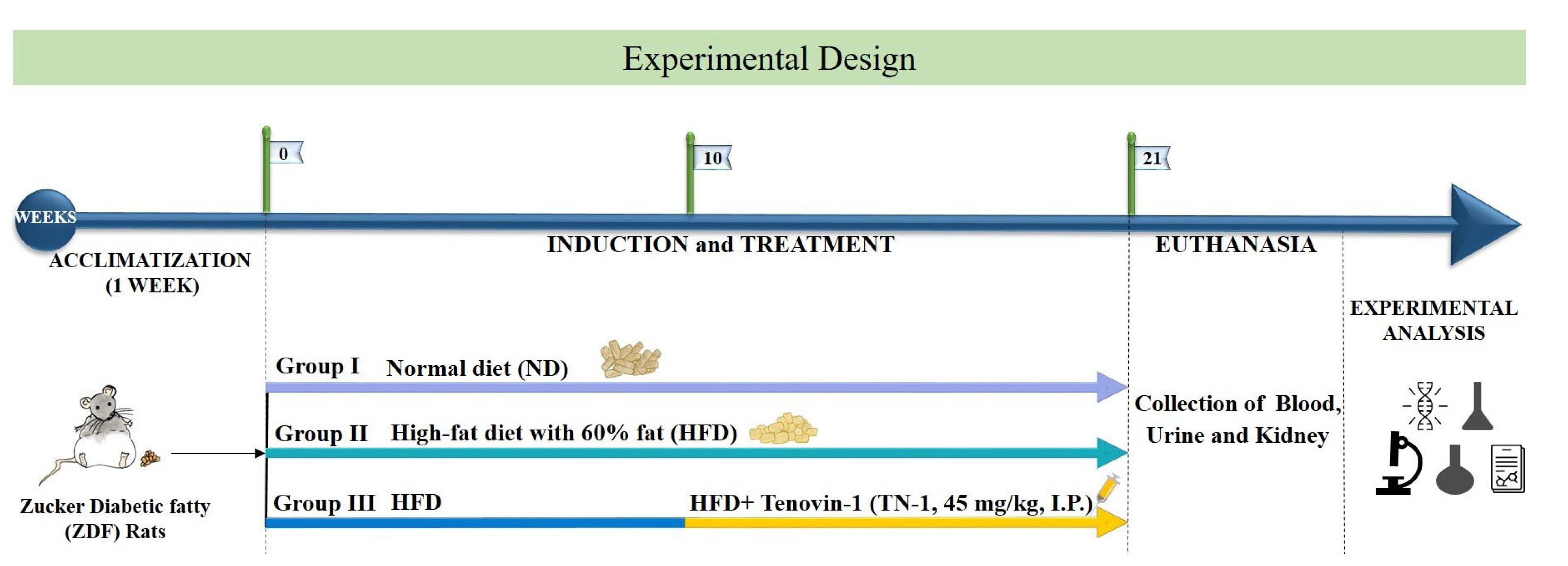Antioxidants 11 01812 g001