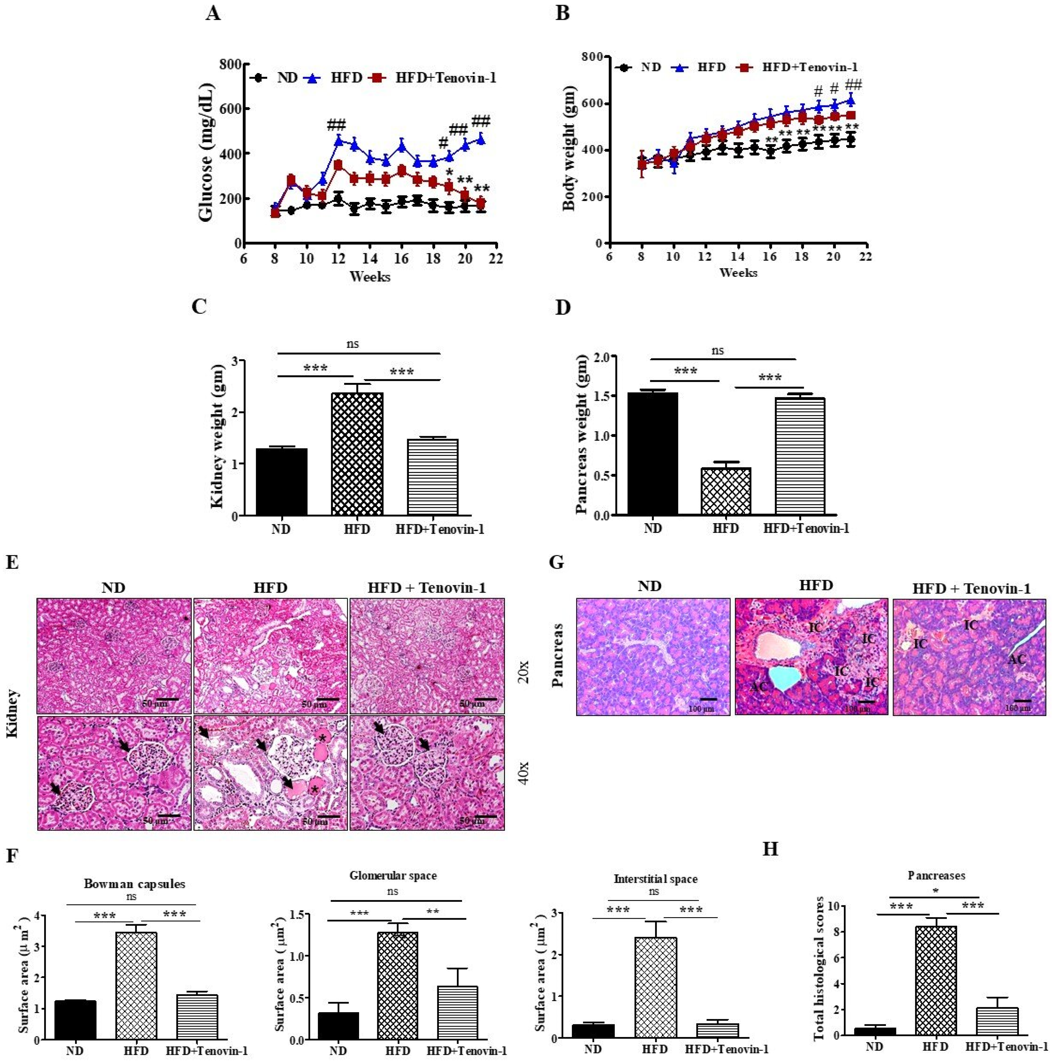Antioxidants 11 01812 g002