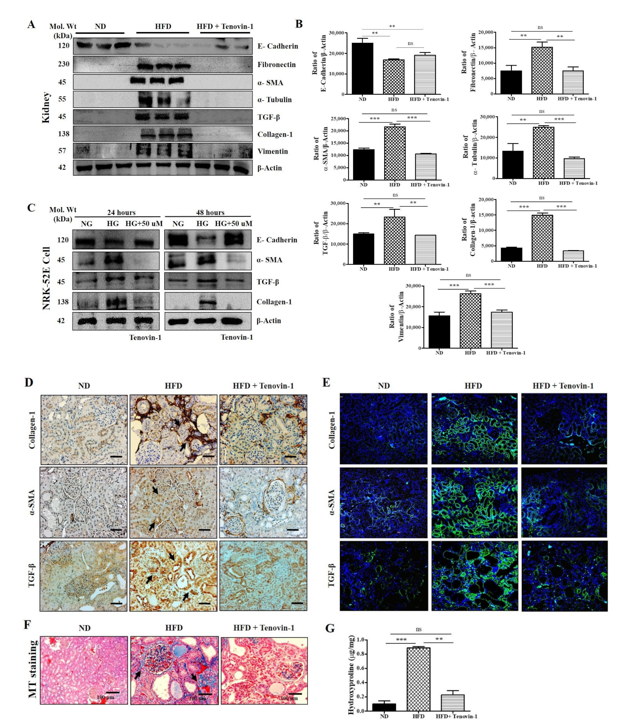 Antioxidants 11 01812 g006