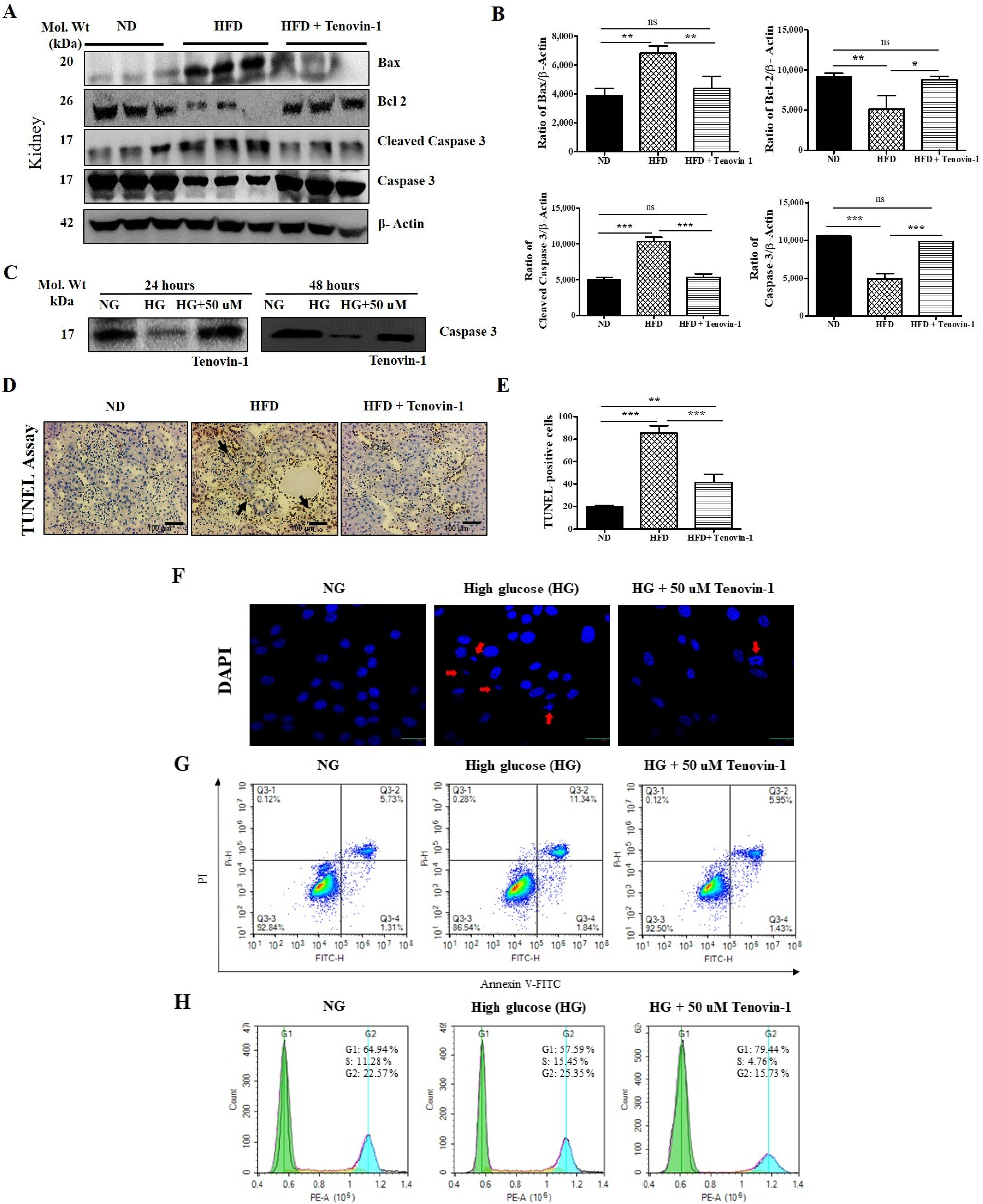 Antioxidants 11 01812 g007