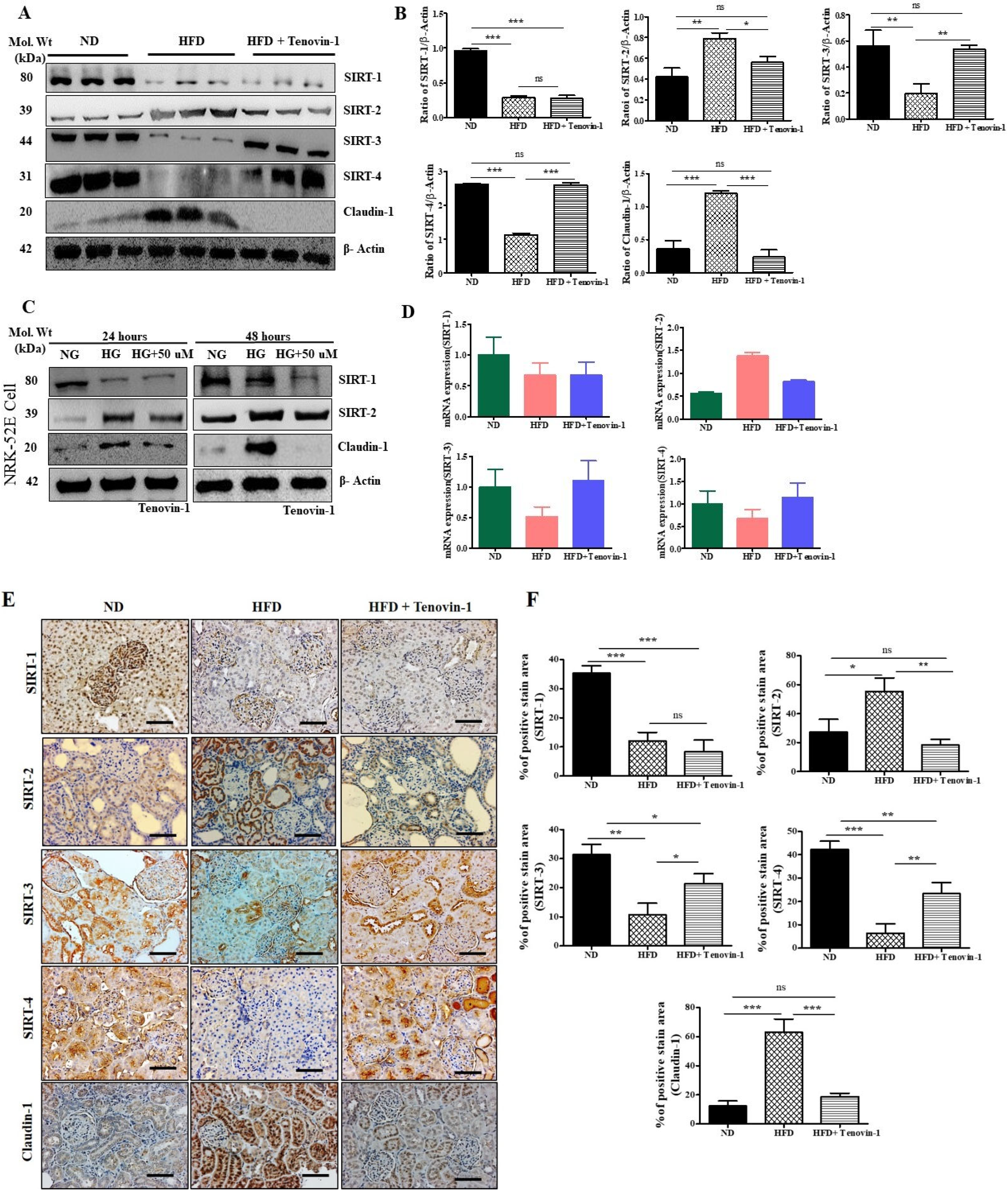 Antioxidants 11 01812 g008