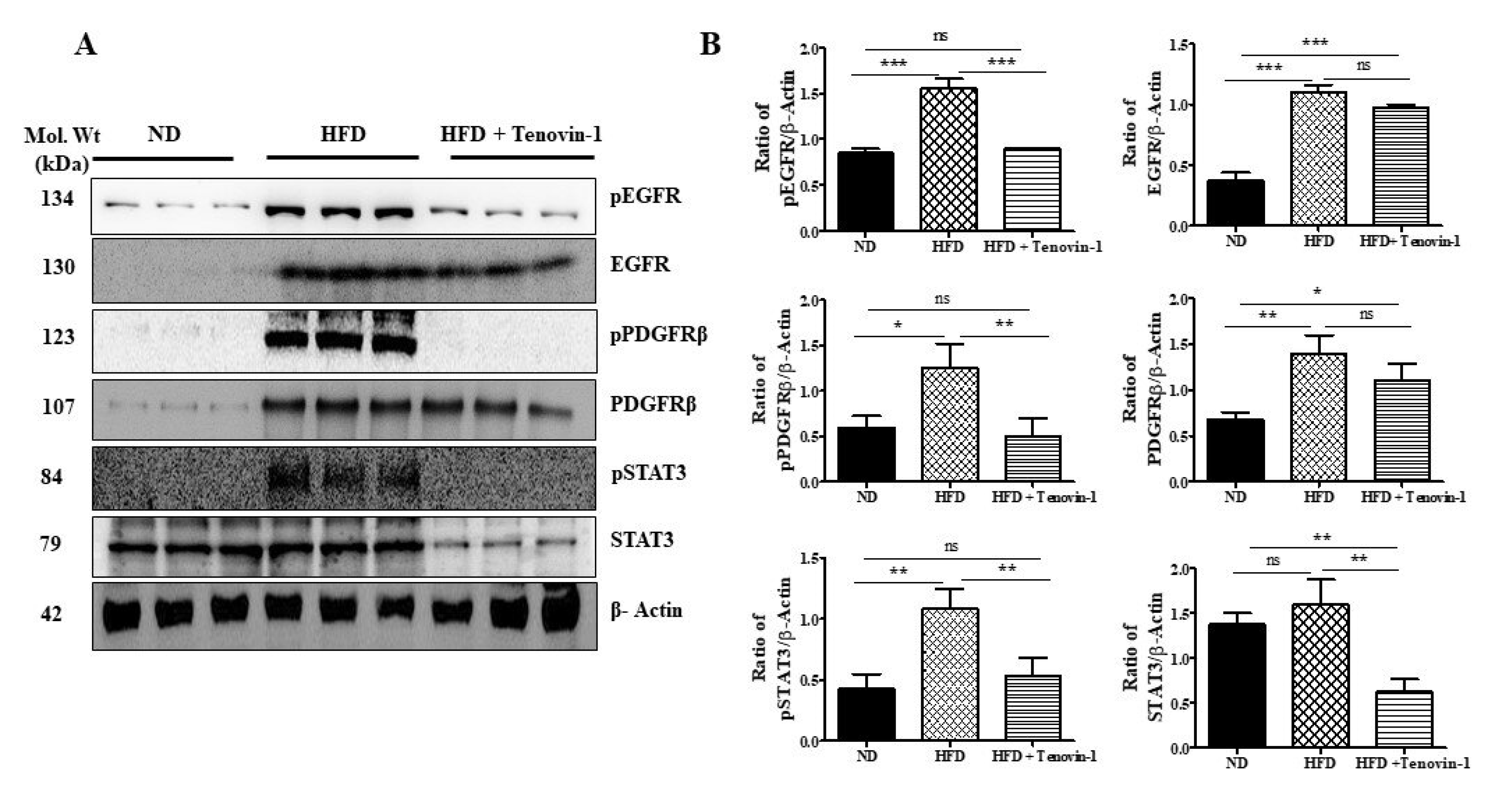 Antioxidants 11 01812 g009