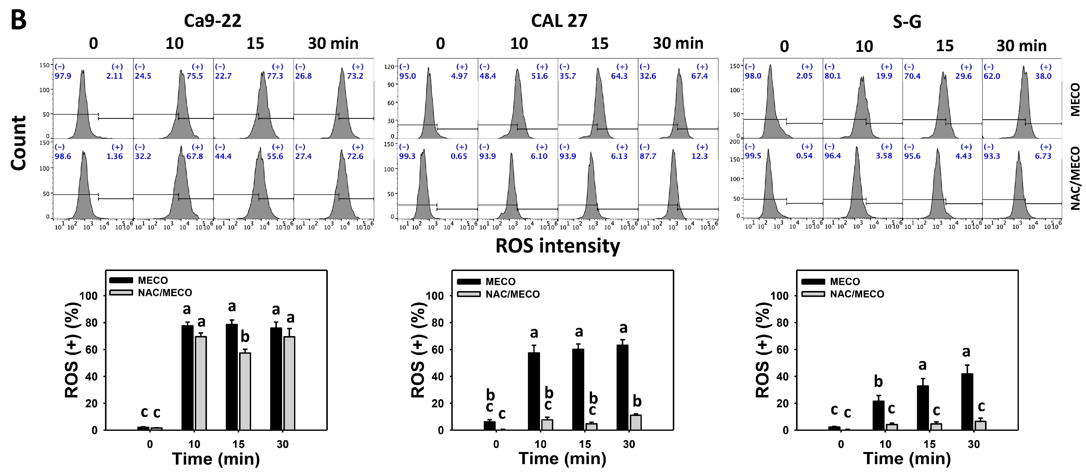 Antioxidants 11 01813 g008b