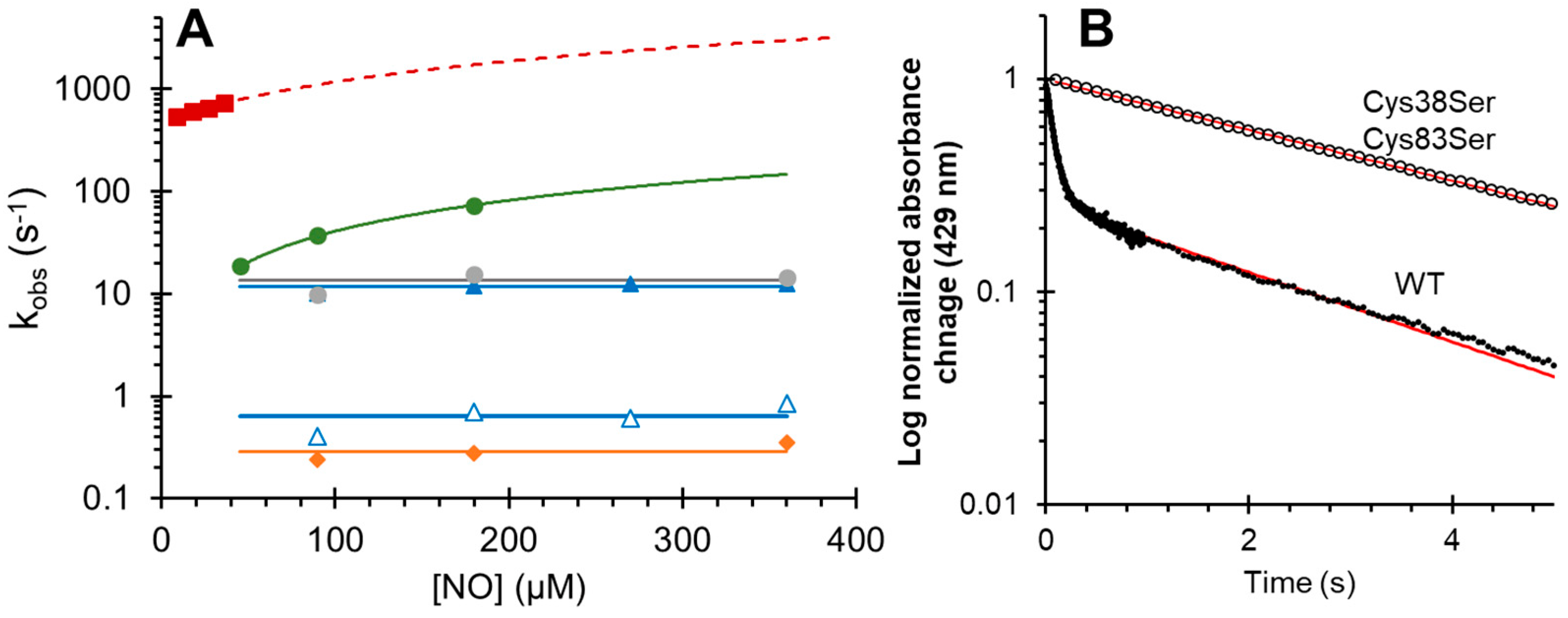 Antioxidants 11 01816 g003