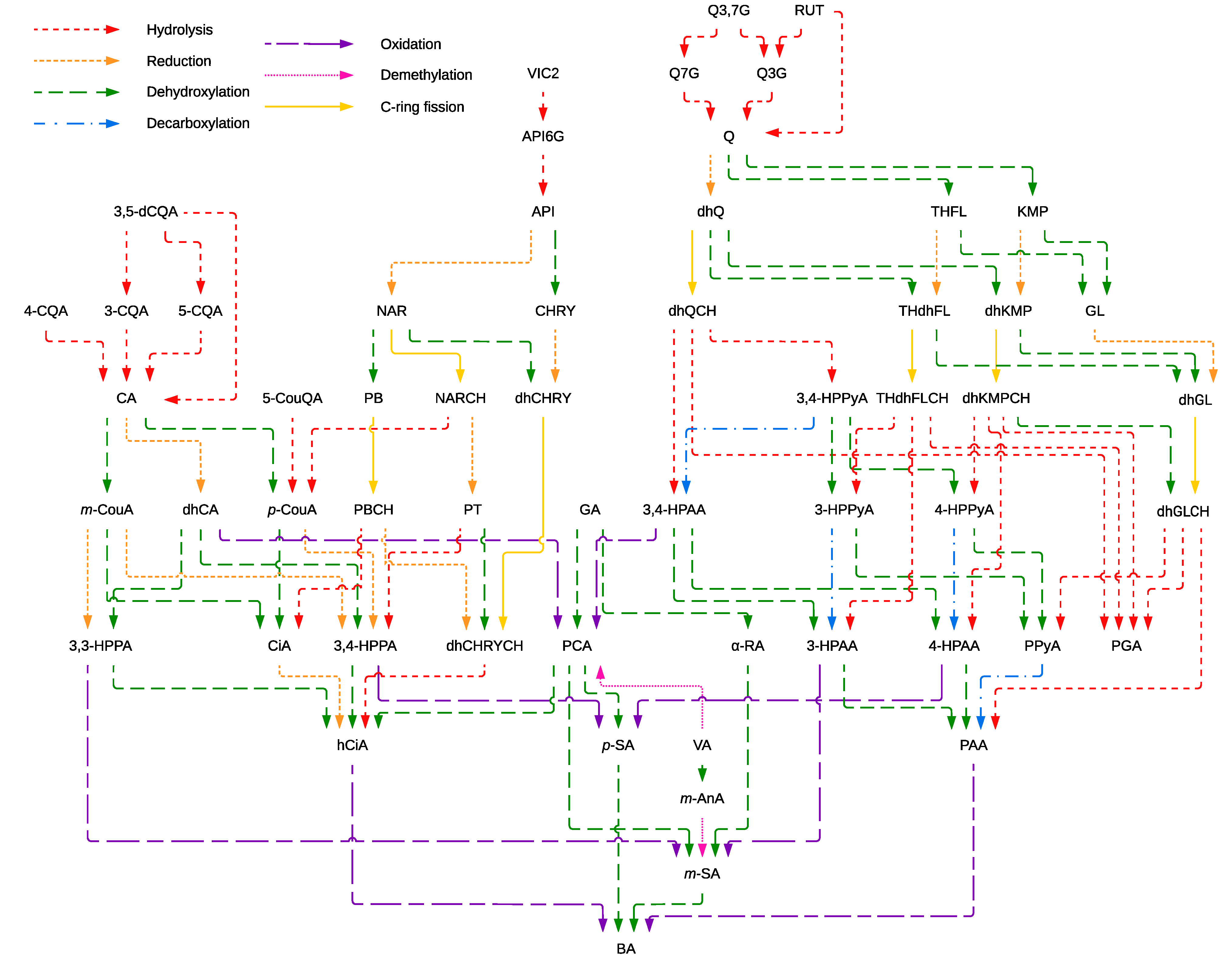 Antioxidants 11 01818 g003