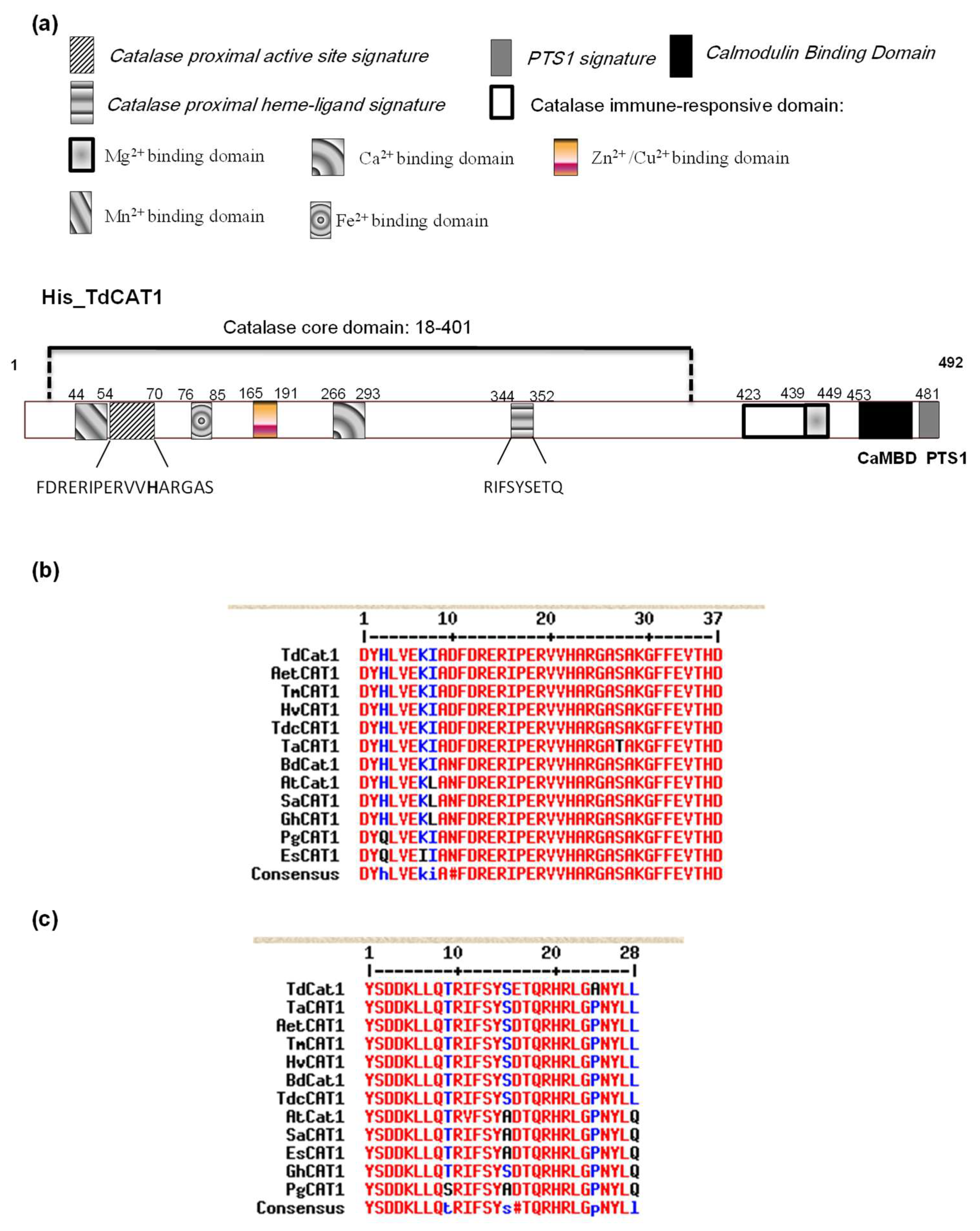 Antioxidants 11 01820 g001