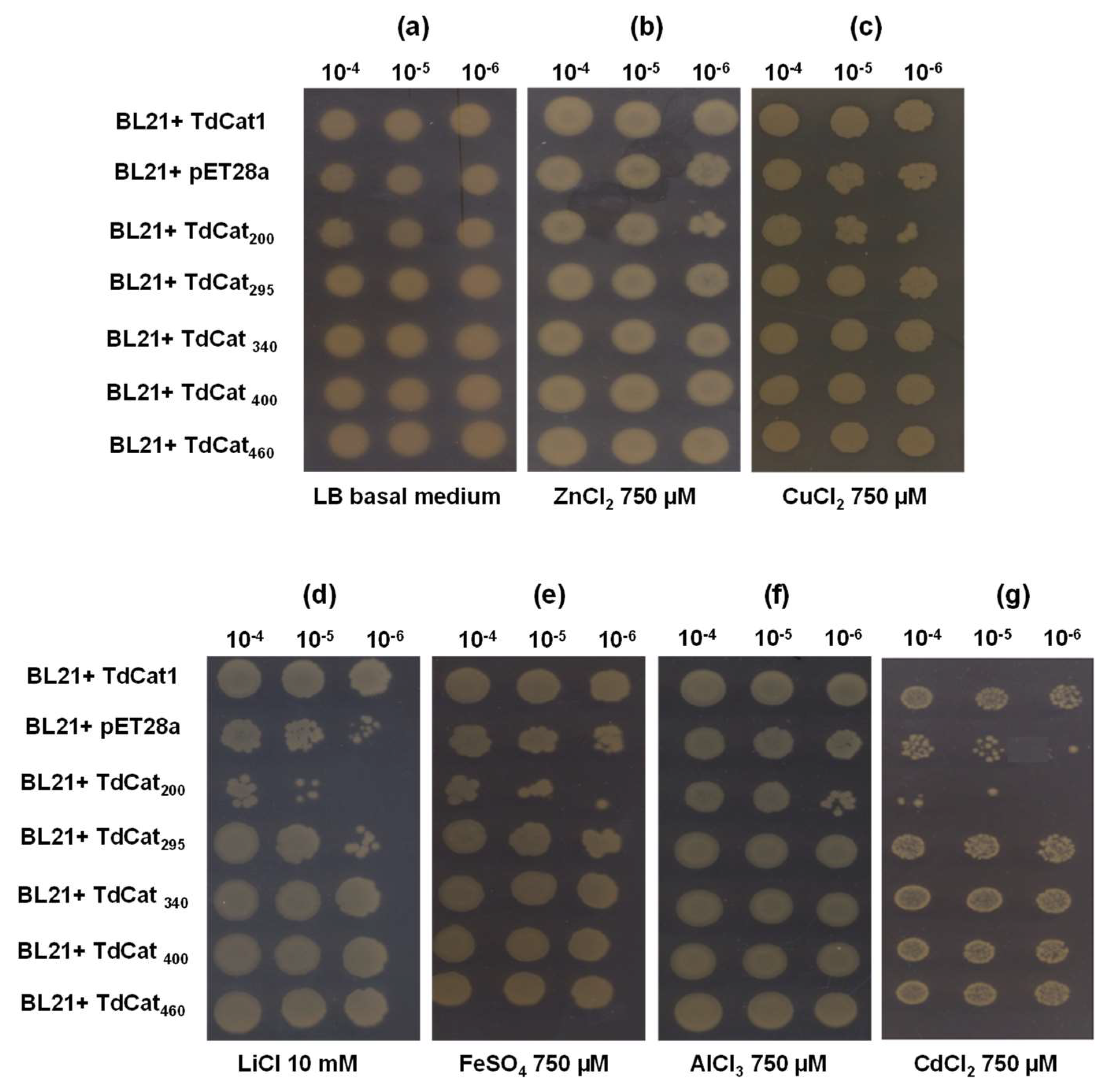 Antioxidants 11 01820 g007