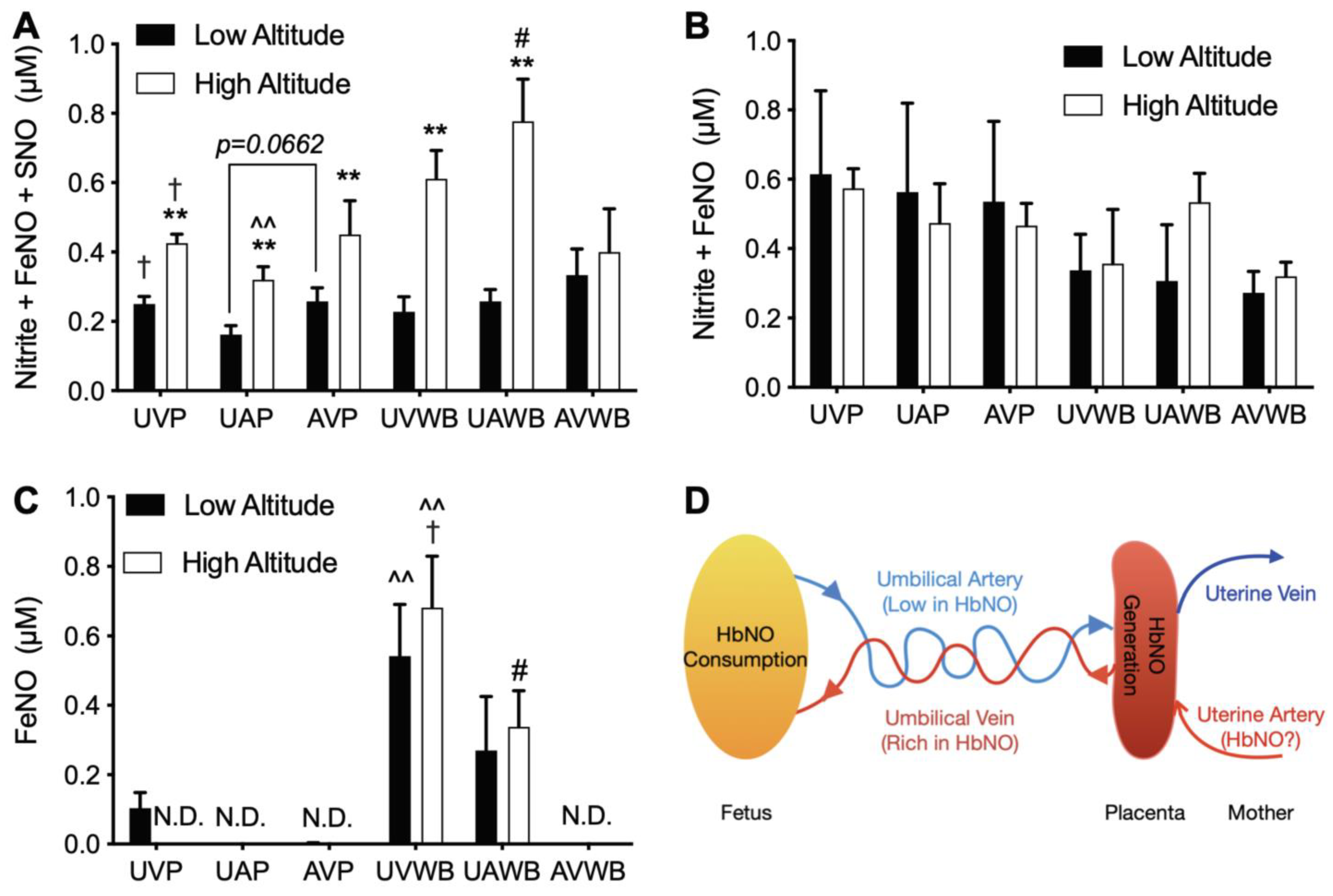 Antioxidants 11 01821 g004