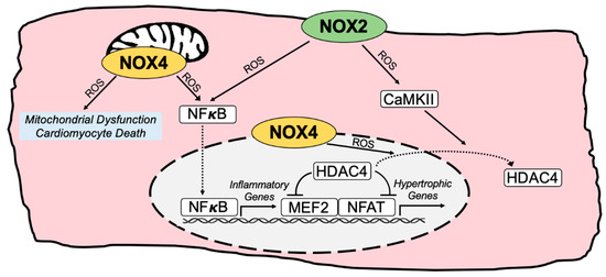 Antioxidants 11 01822 g002
